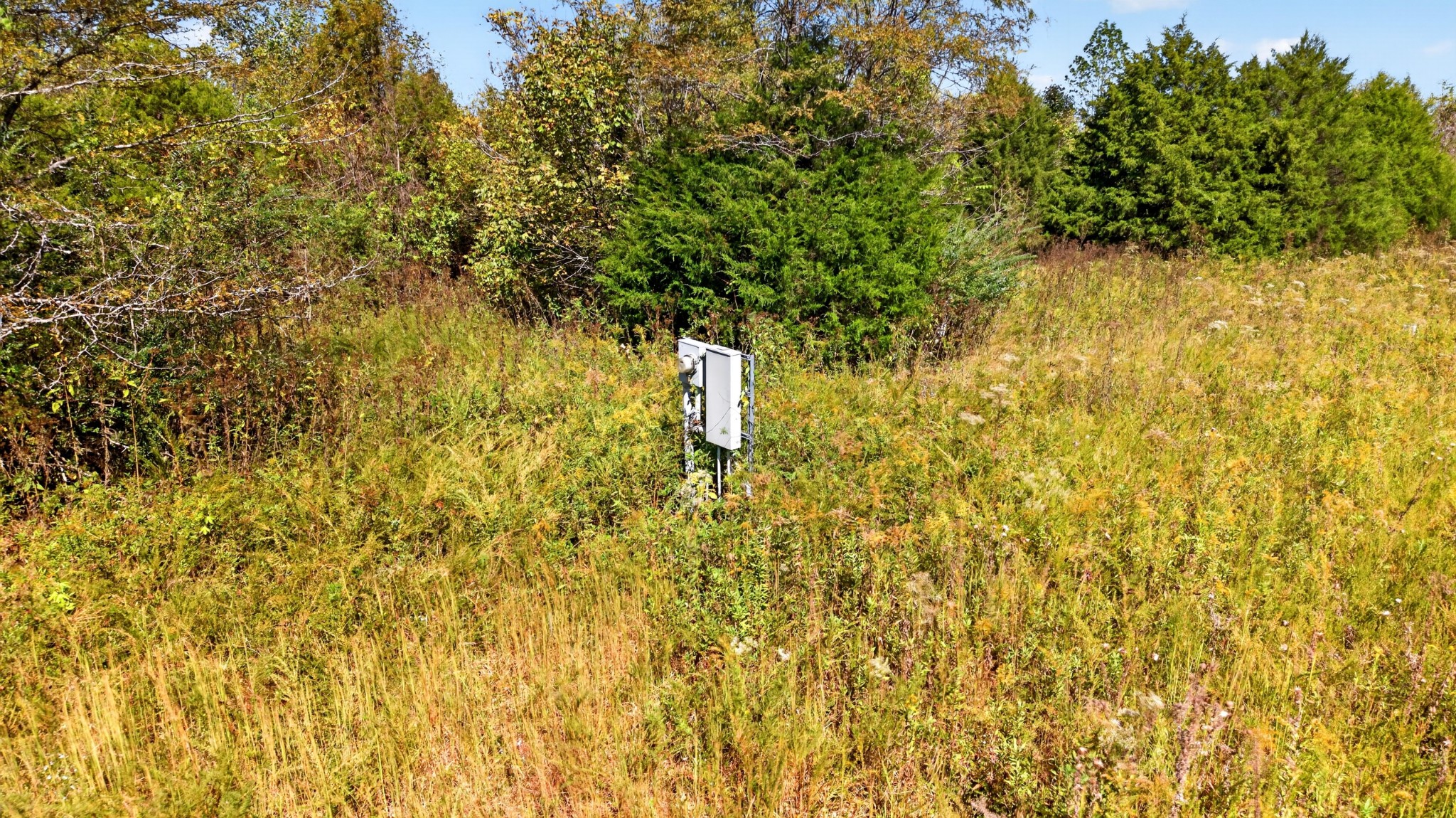 1202 Starks Road Cumberland Furnace, TN 37051 - Photo 78 of 98 Gallery Image 78
