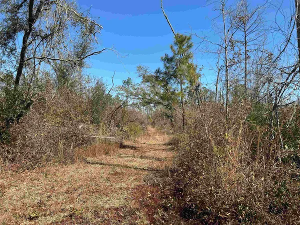 $160,000 | Tbd Southwest Tbd Sw Cow Road, Madison, FL 32340