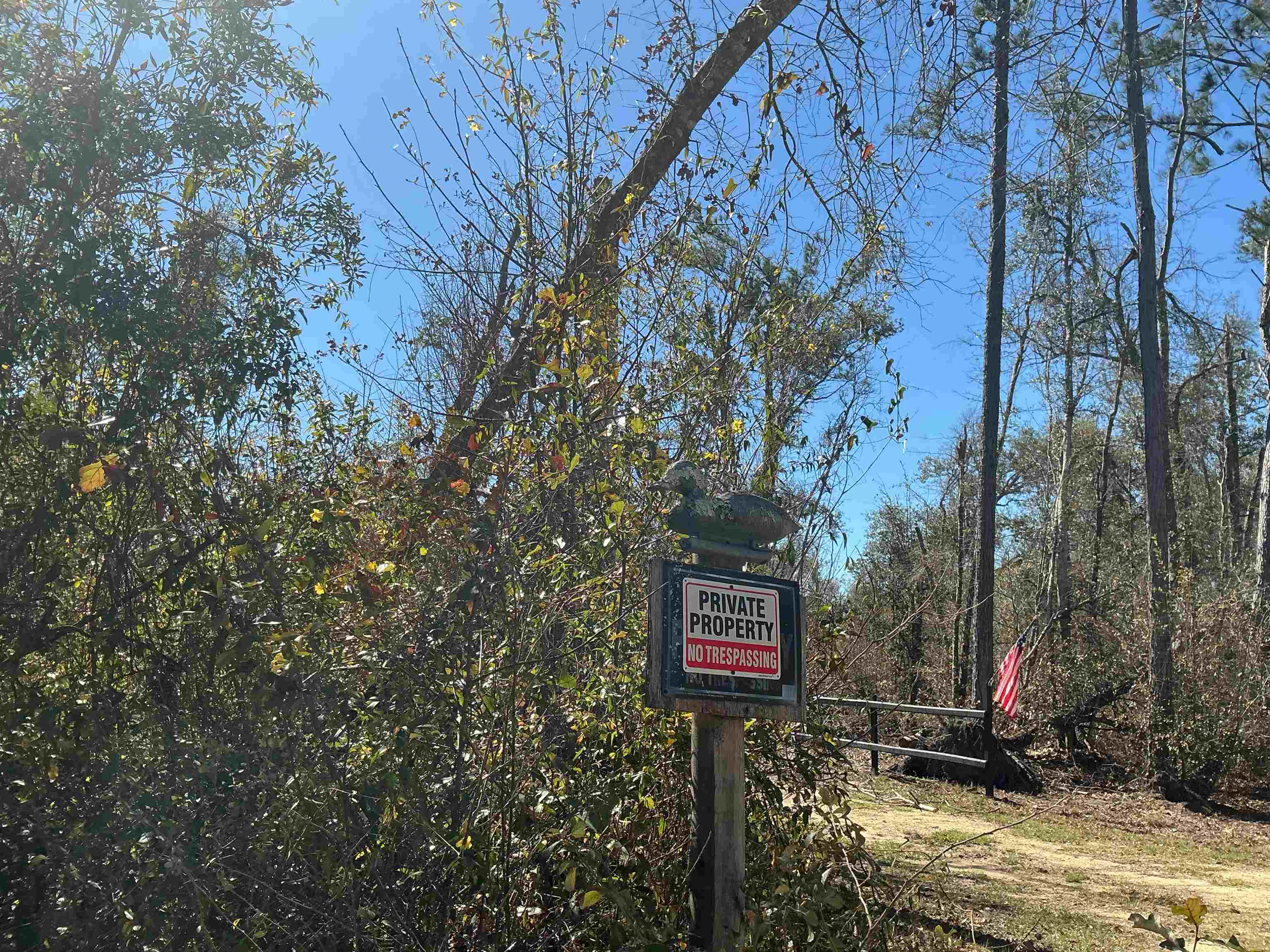 Tbd Southwest Tbd Sw Cow Road Madison, FL 32340 - Photo 14 of 23