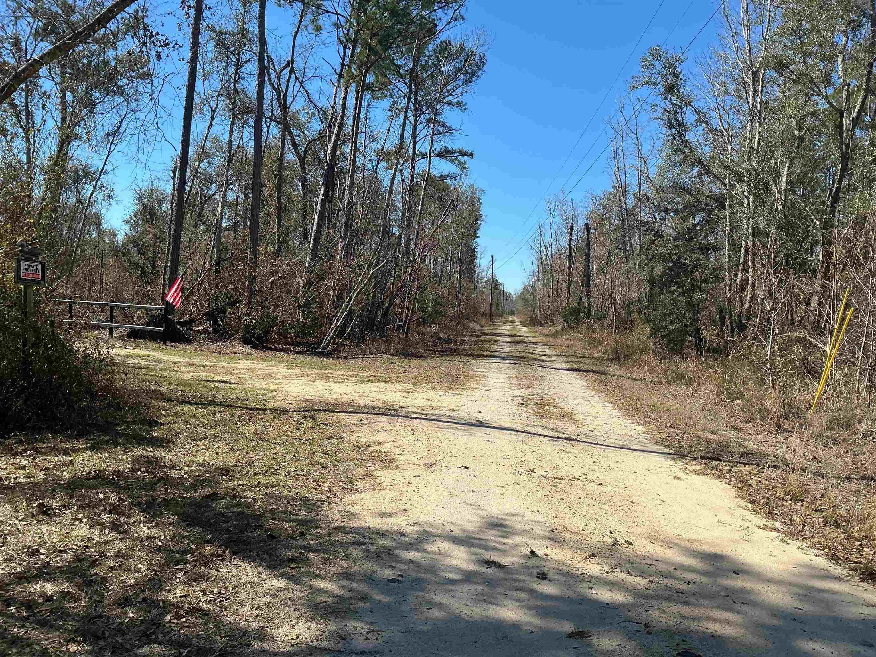 Tbd Southwest Tbd Sw Cow Road Madison, FL 32340 - Photo 15 of 23