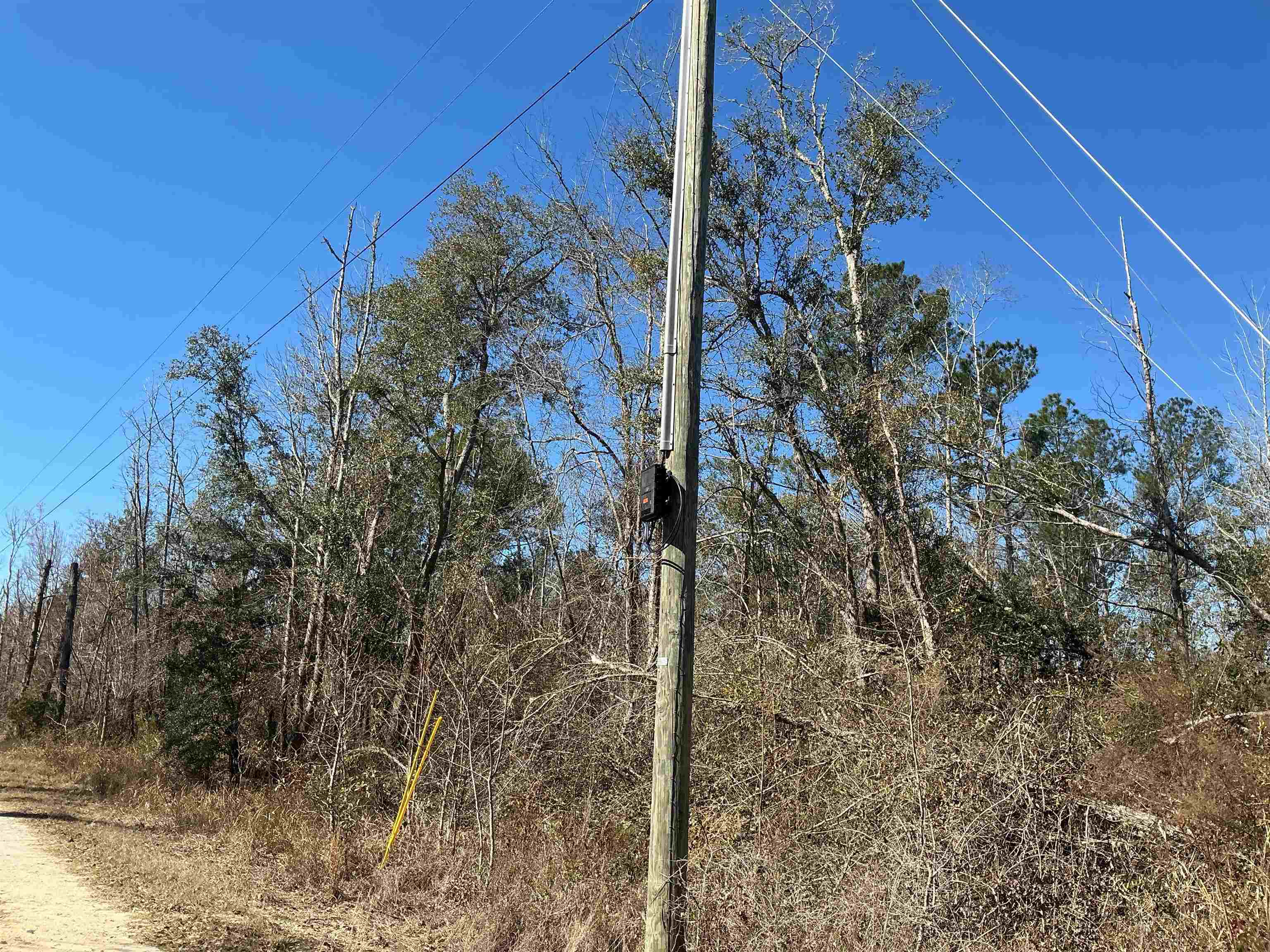 Tbd Southwest Tbd Sw Cow Road Madison, FL 32340 - Photo 16 of 23