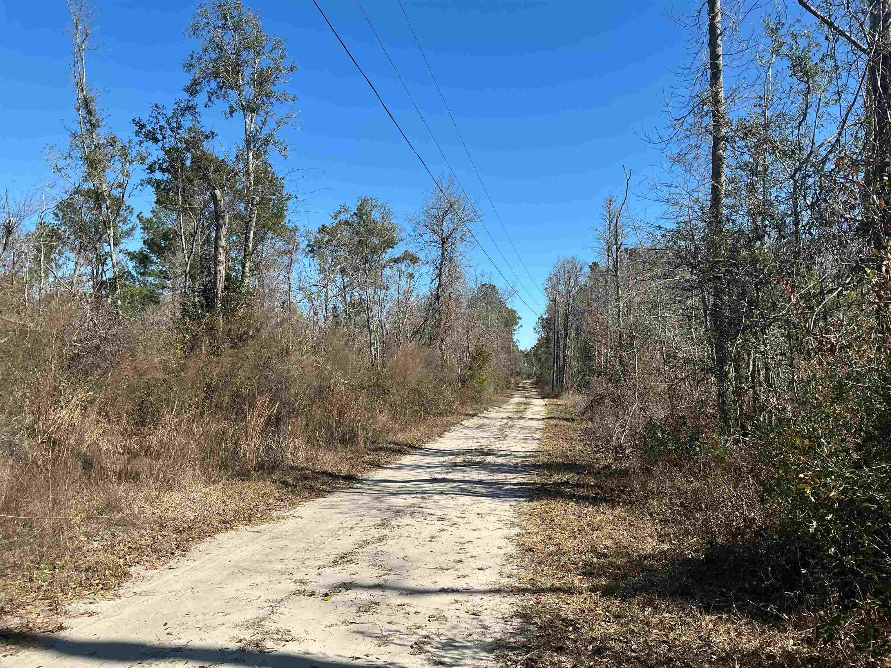 Tbd Southwest Tbd Sw Cow Road Madison, FL 32340 - Photo 17 of 23