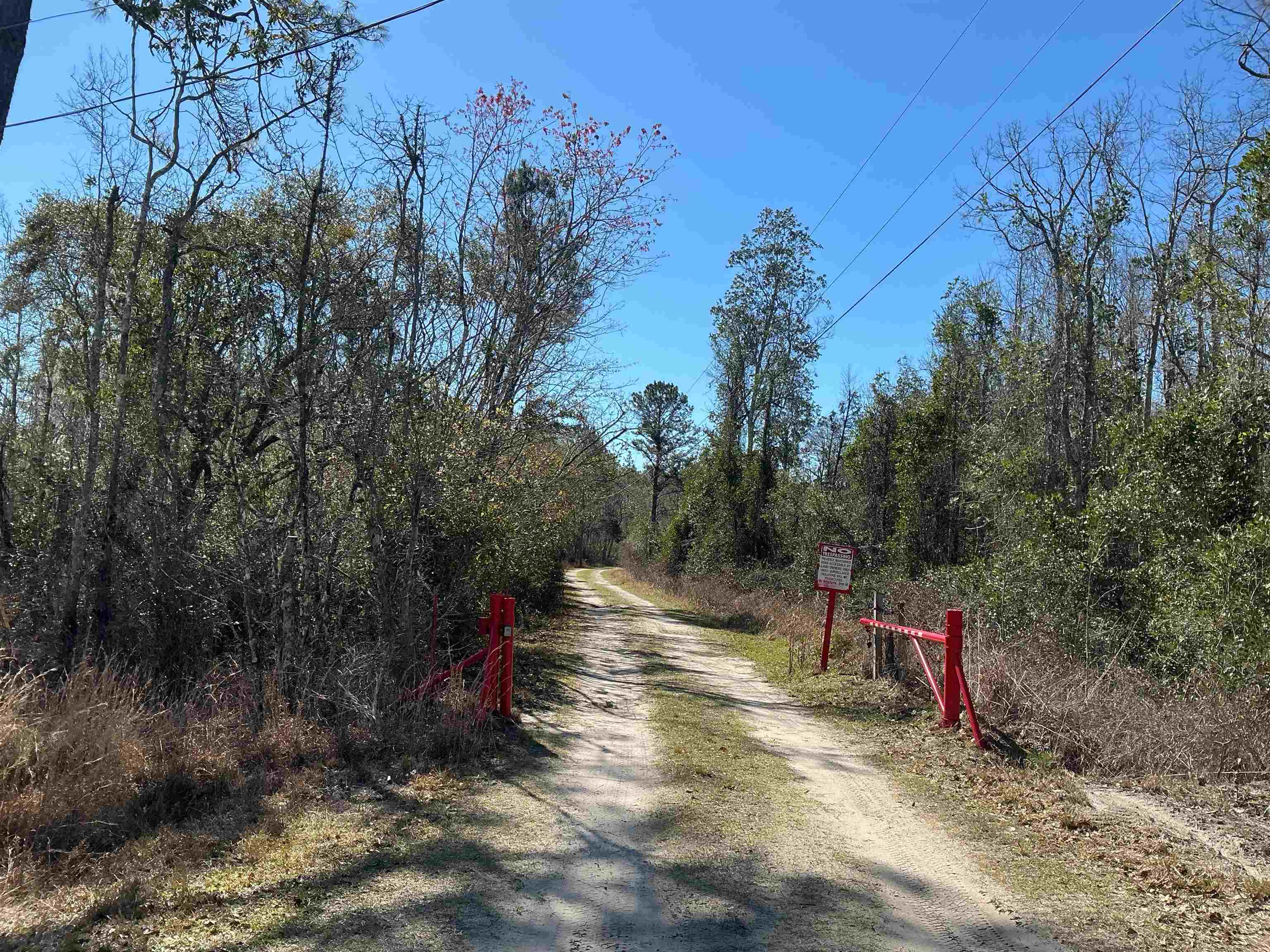 Tbd Southwest Tbd Sw Cow Road Madison, FL 32340 - Photo 18 of 23