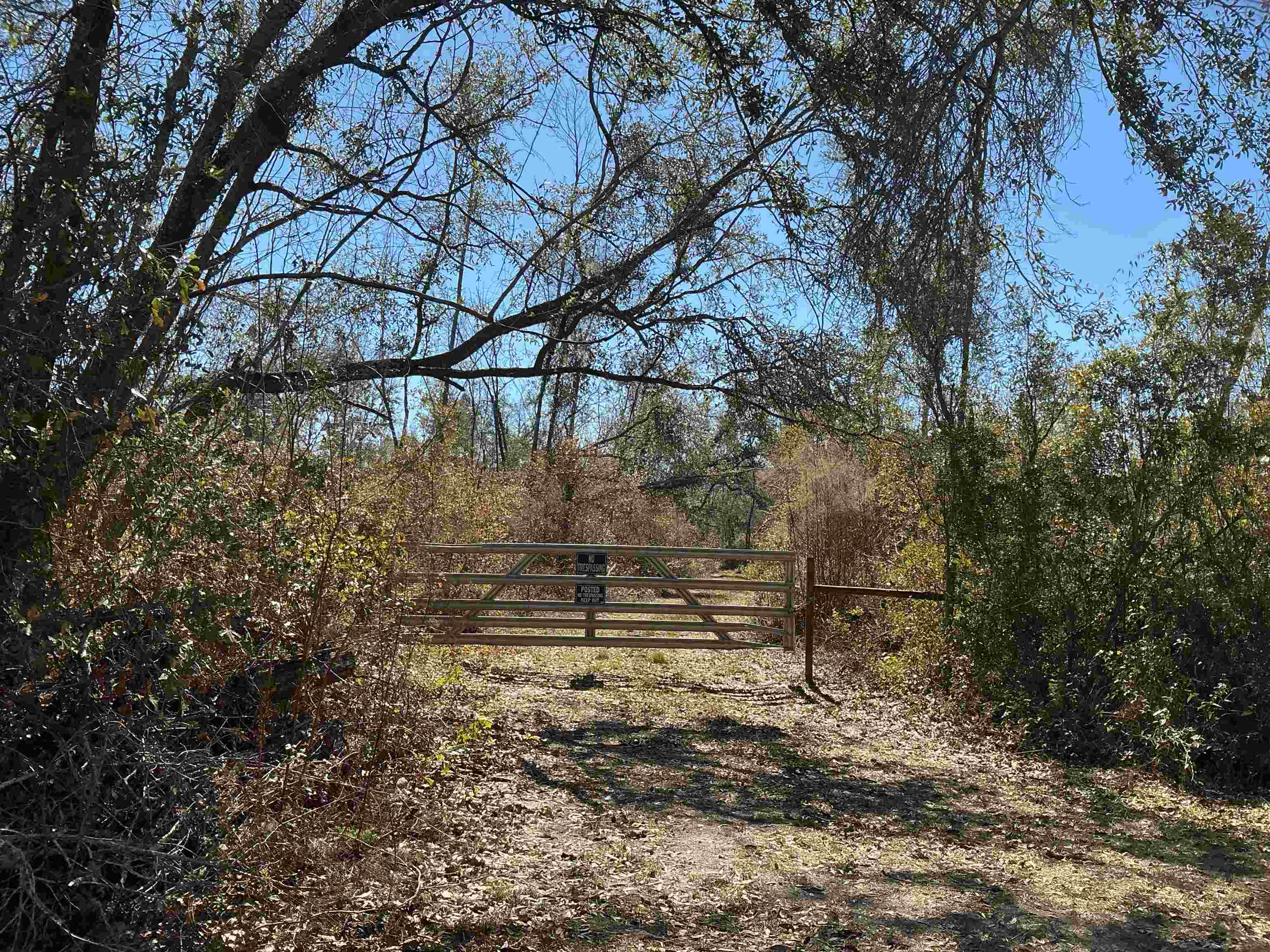 Tbd Southwest Tbd Sw Cow Road Madison, FL 32340 - Photo 20 of 23