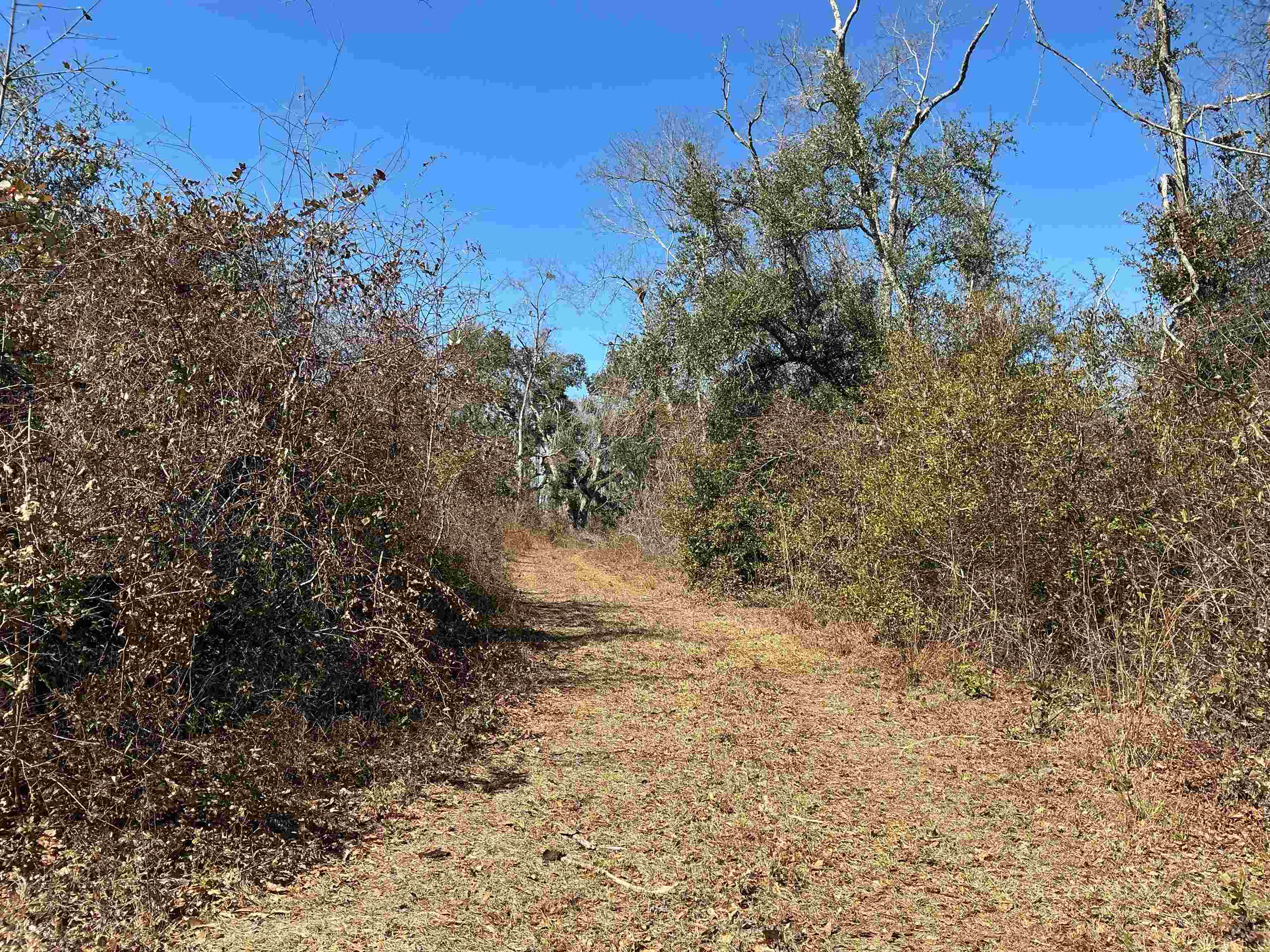 Tbd Southwest Tbd Sw Cow Road Madison, FL 32340 - Photo 2 of 23