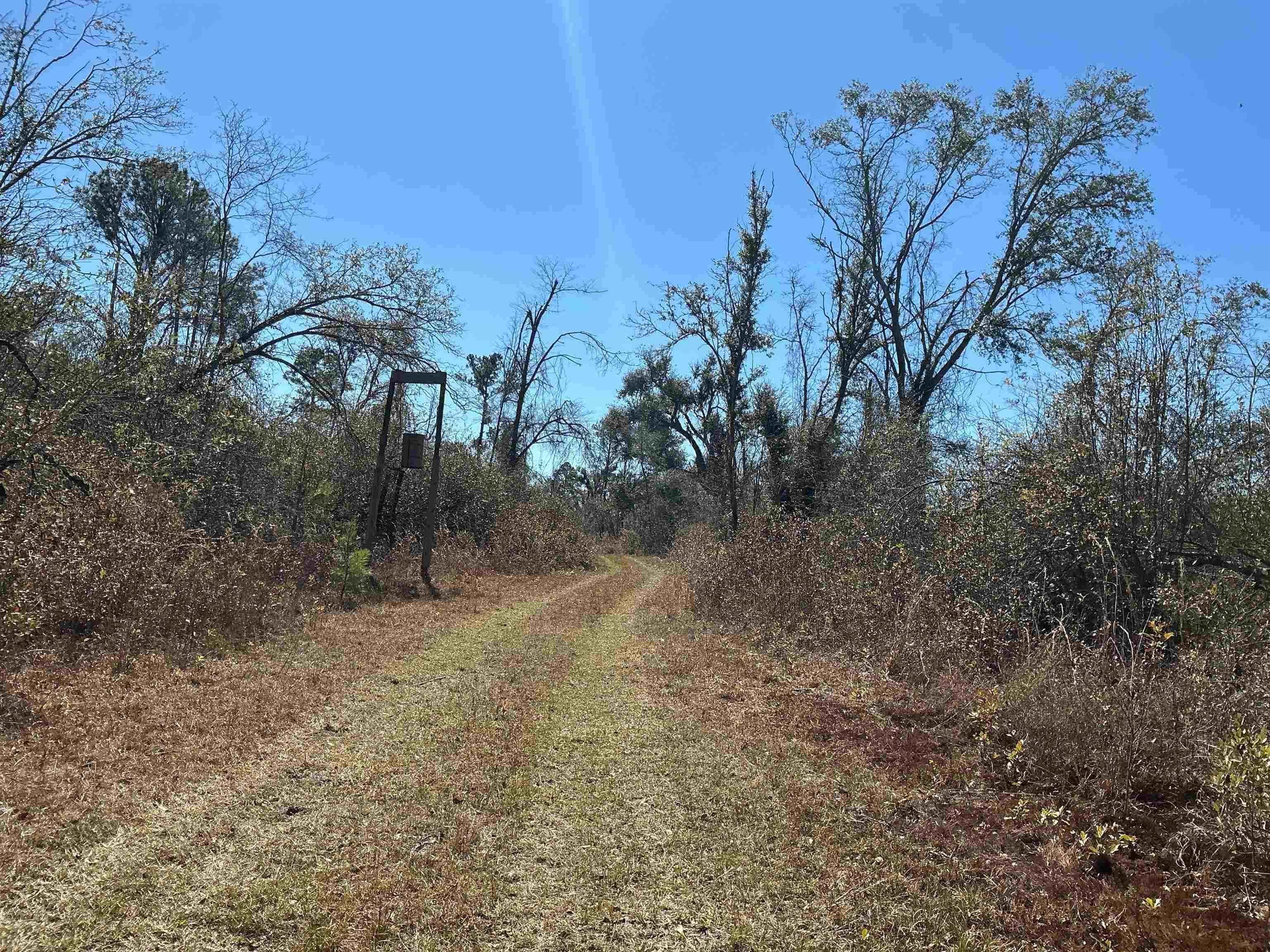 Tbd Southwest Tbd Sw Cow Road Madison, FL 32340 - Photo 3 of 23