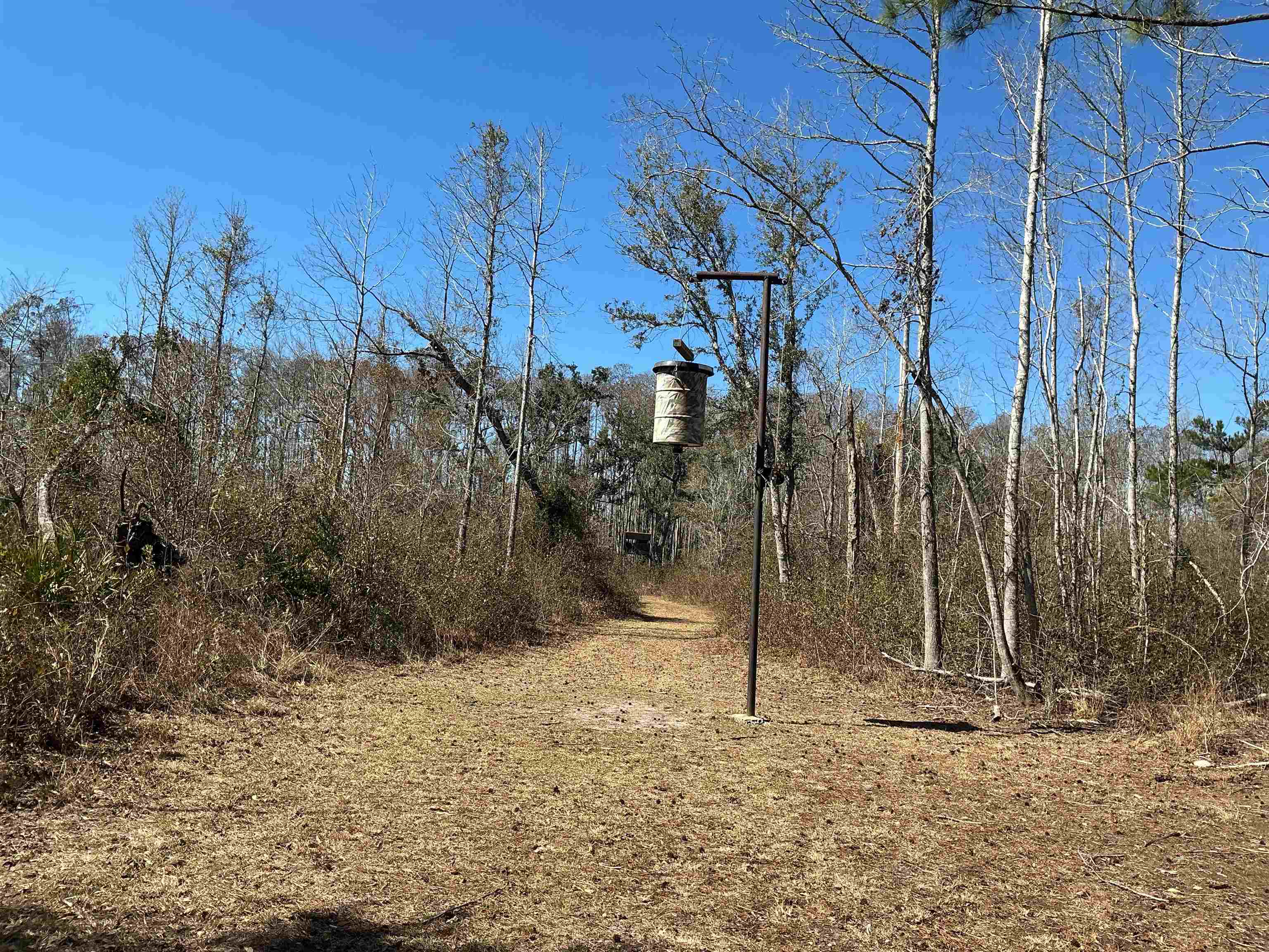 Tbd Southwest Tbd Sw Cow Road Madison, FL 32340 - Photo 5 of 23