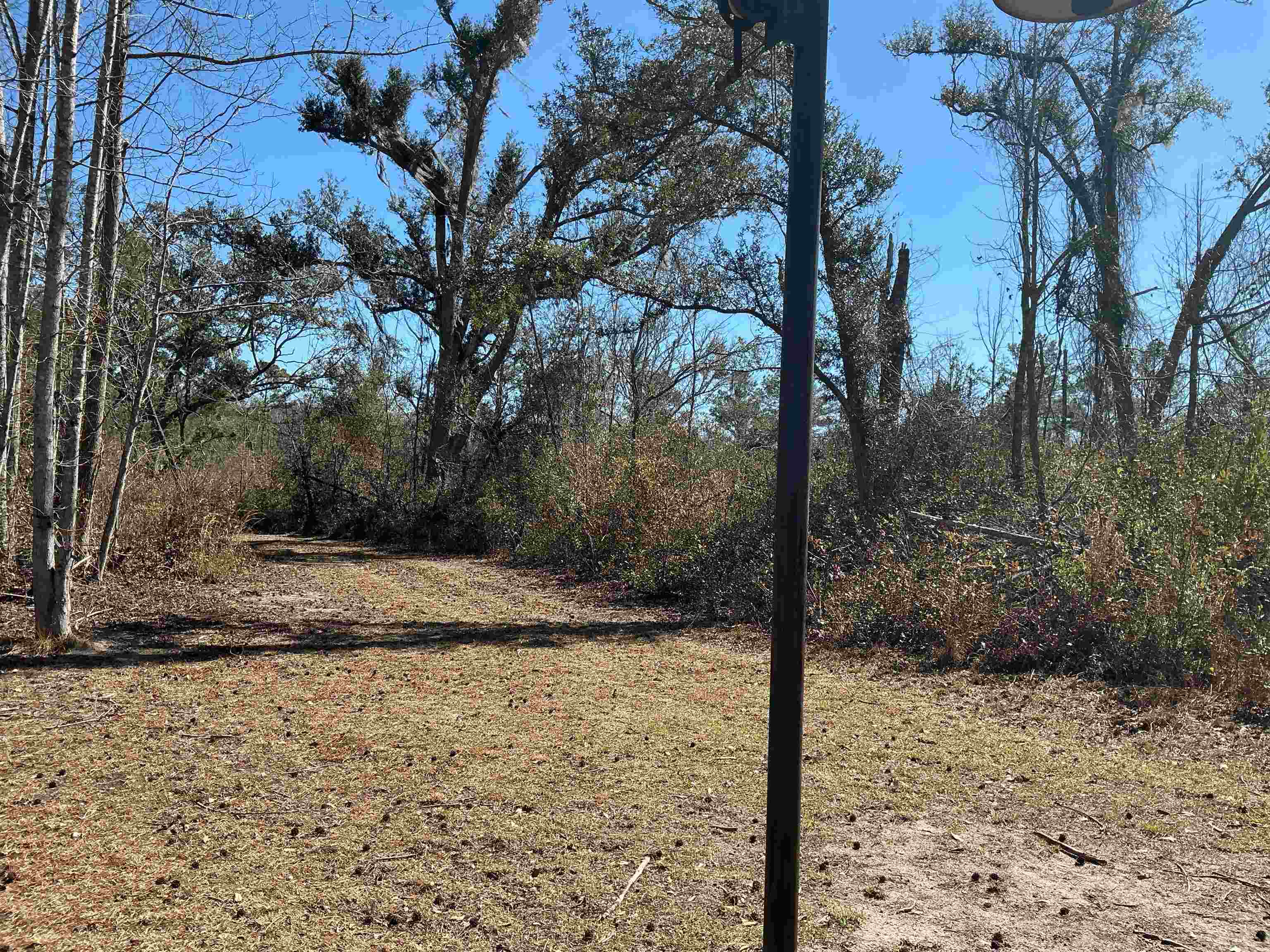 Tbd Southwest Tbd Sw Cow Road Madison, FL 32340 - Photo 8 of 23