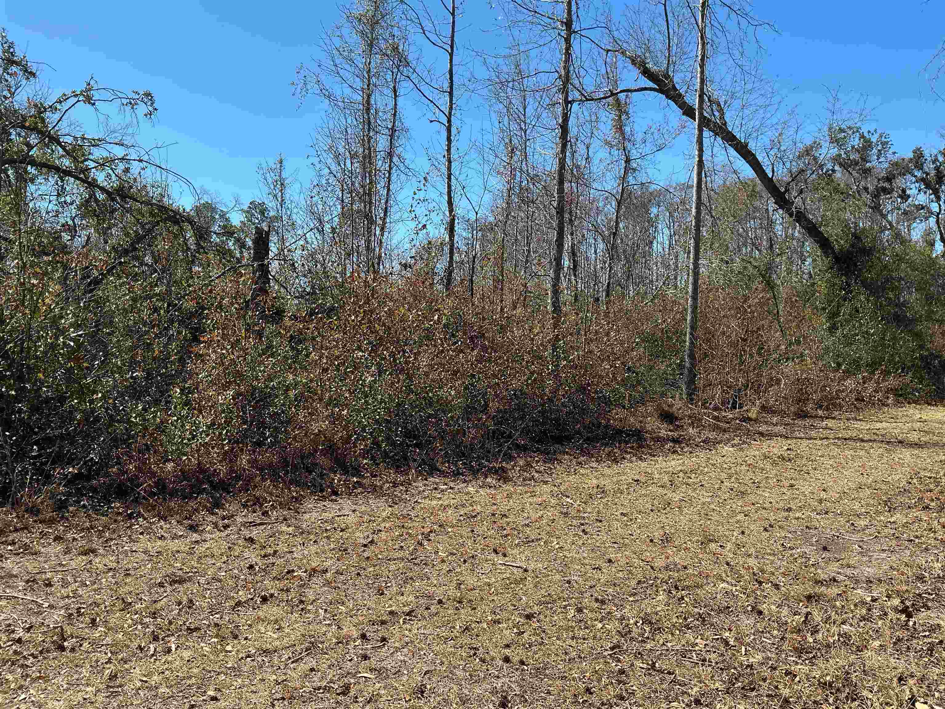 Tbd Southwest Tbd Sw Cow Road Madison, FL 32340 - Photo 9 of 23