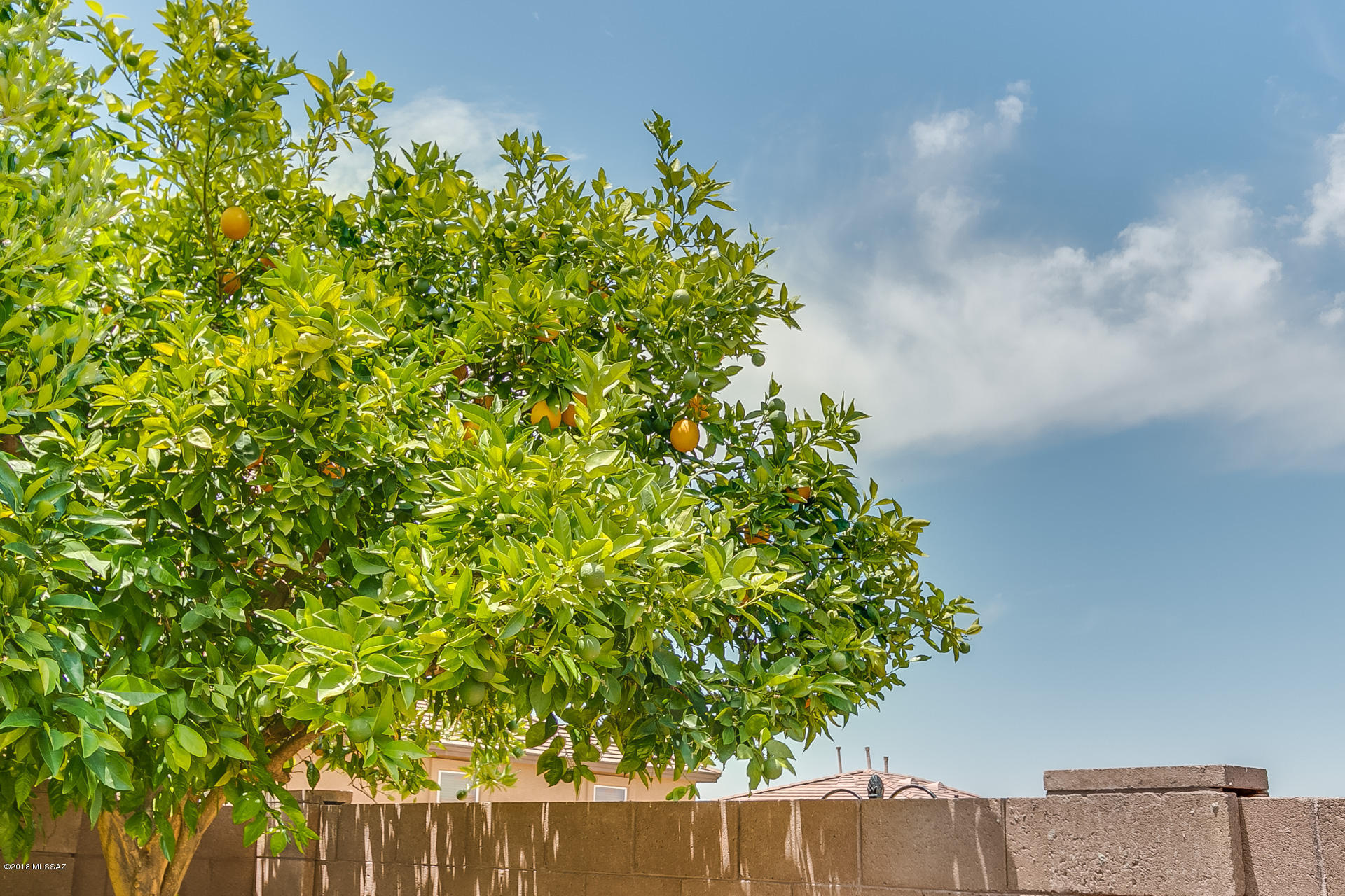 3566 East Canter Road Tucson, AZ 85739 - Photo 46 of 48 Gallery Image 46