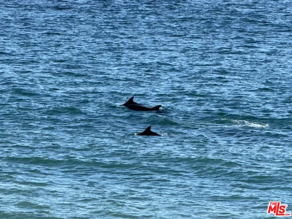 $40,000 | 25302 Malibu Road, Malibu, CA 90265