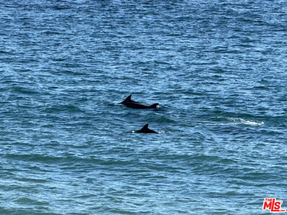 25302 Malibu Road Malibu, CA 90265 - Photo 35 of 36