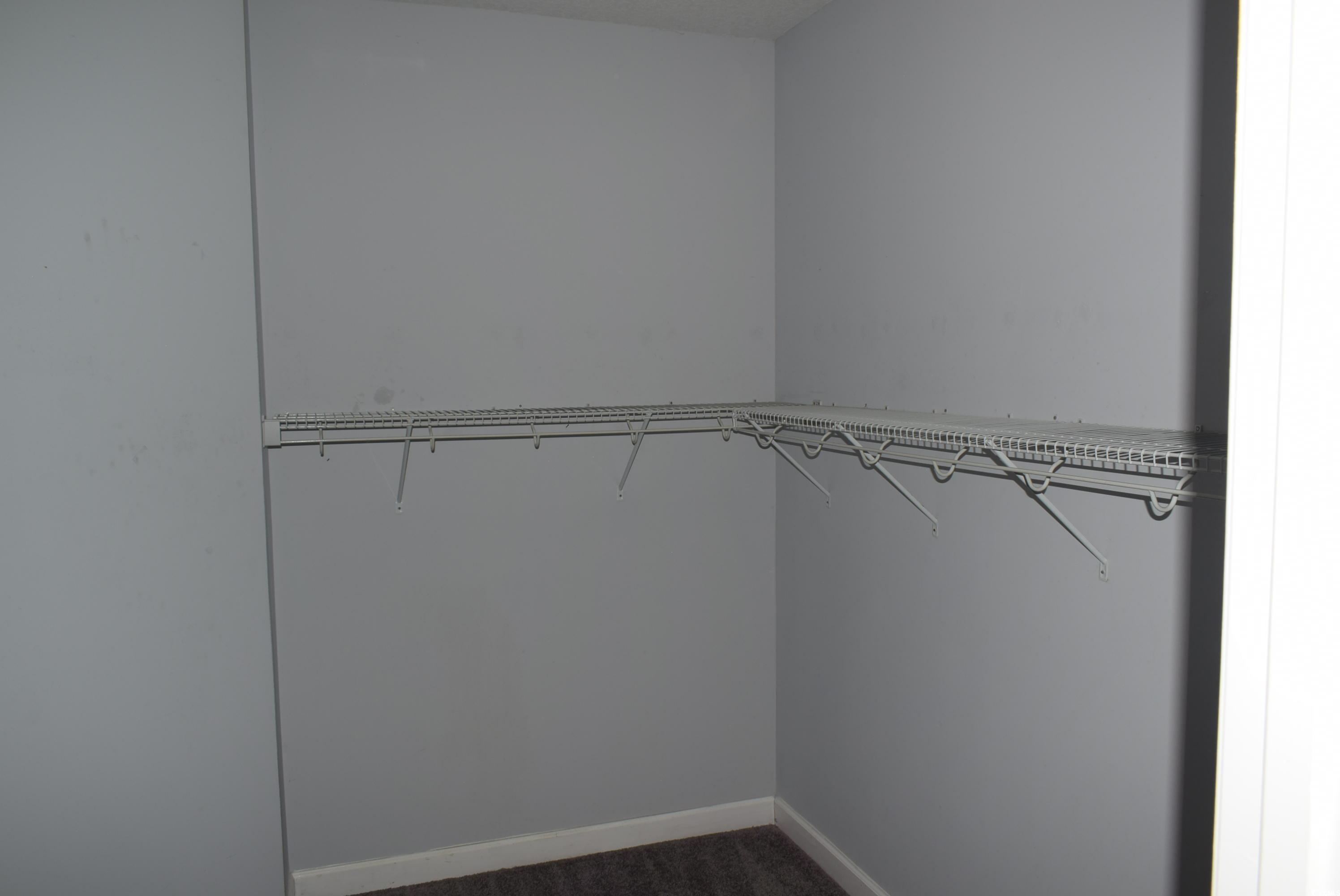 216 Rose Water Loop Myrtle Beach, SC 29588 - Photo 17 of 40 Spacious closet with dark colored carpet