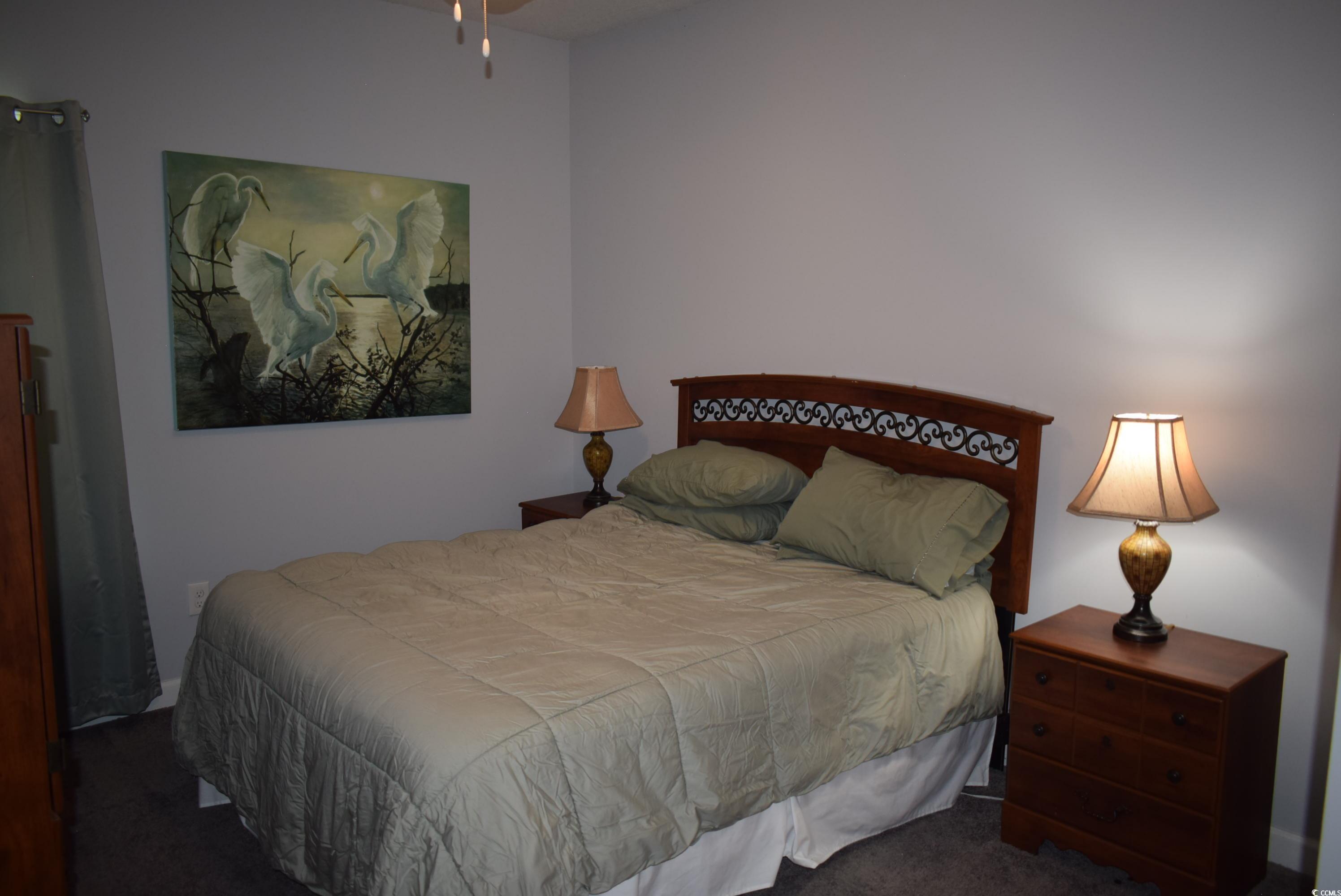 216 Rose Water Loop Myrtle Beach, SC 29588 - Photo 21 of 40 View of carpeted bedroom