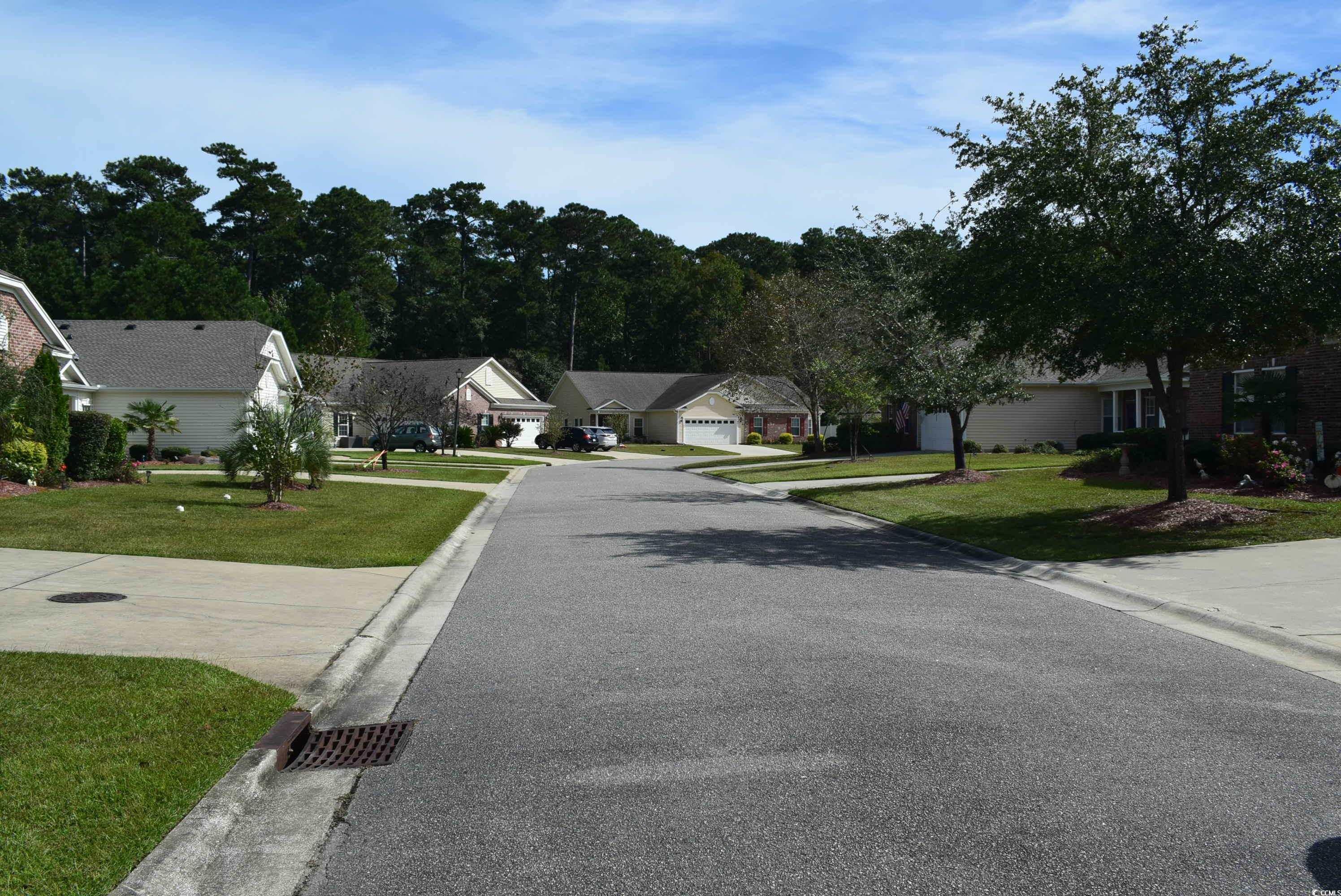 216 Rose Water Loop Myrtle Beach, SC 29588 - Photo 25 of 40 View of asphalt road with curbs and a residential view