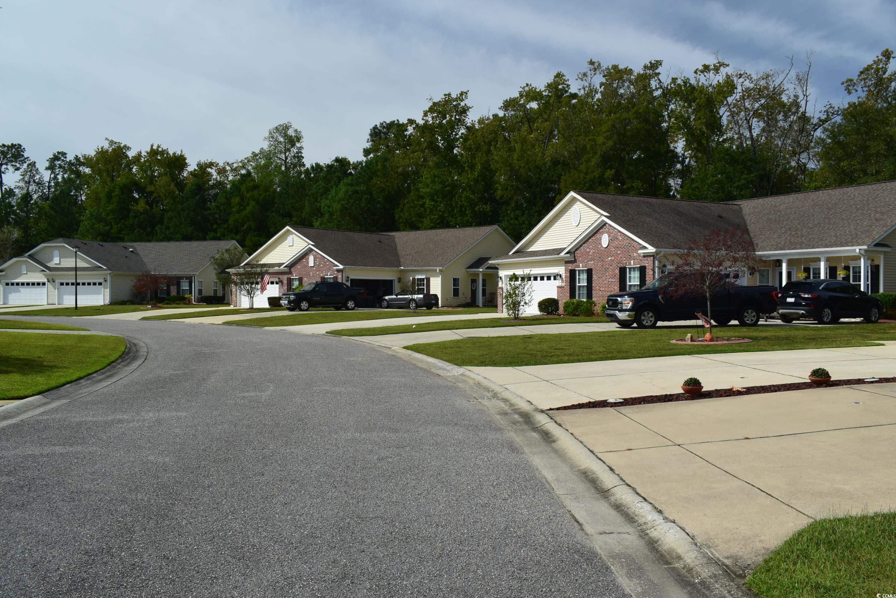 216 Rose Water Loop Myrtle Beach, SC 29588 - Photo 26 of 40 View of asphalt street featuring curbs