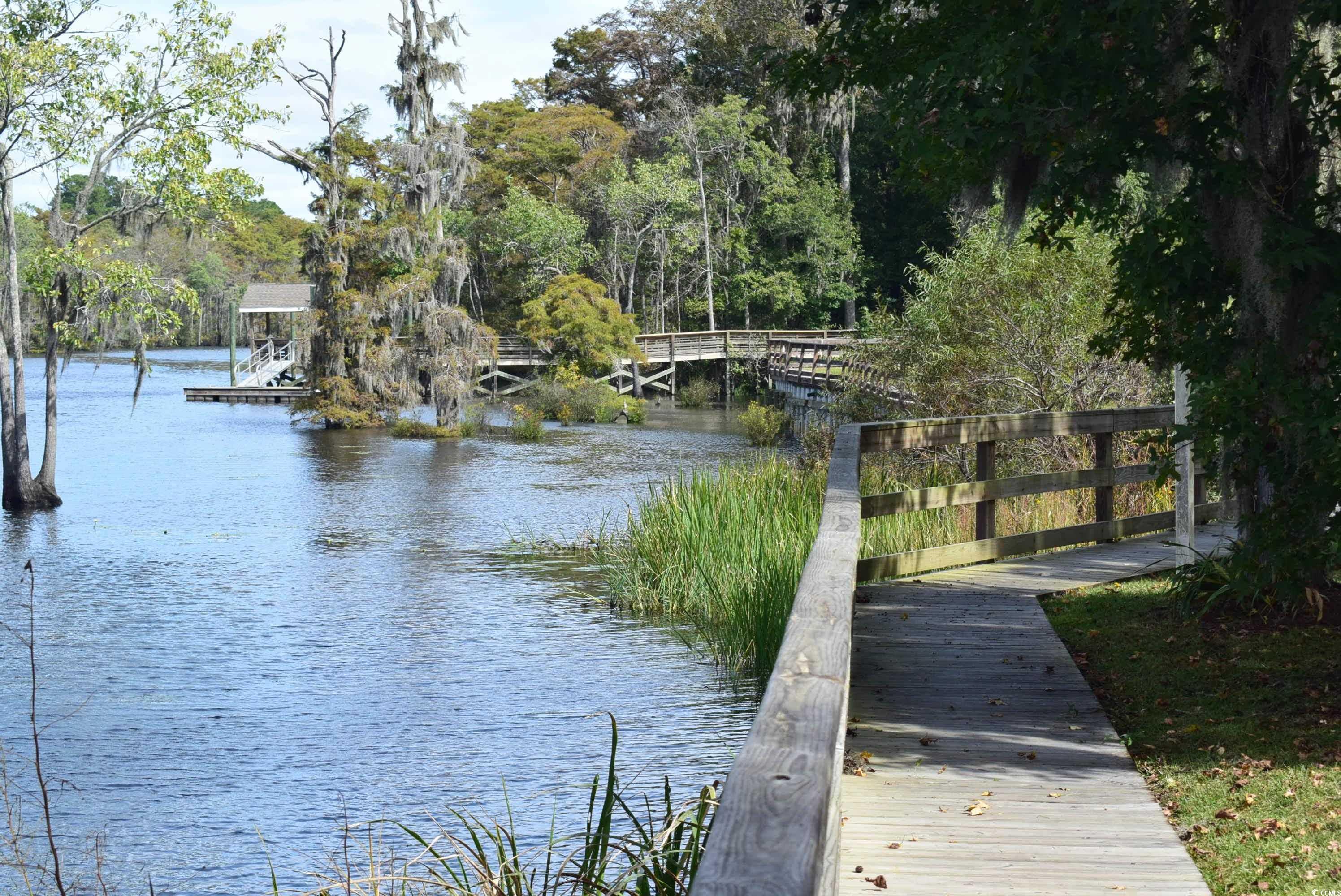 216 Rose Water Loop Myrtle Beach, SC 29588 - Photo 30 of 40 Dock featuring a water view