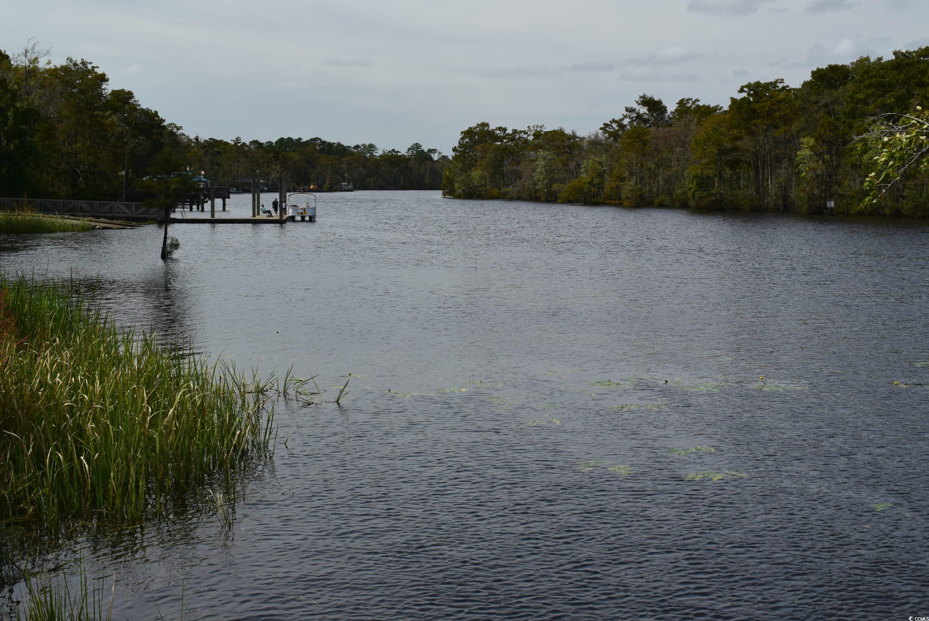 216 Rose Water Loop Myrtle Beach, SC 29588 - Photo 31 of 40 Water view with a heavily wooded area