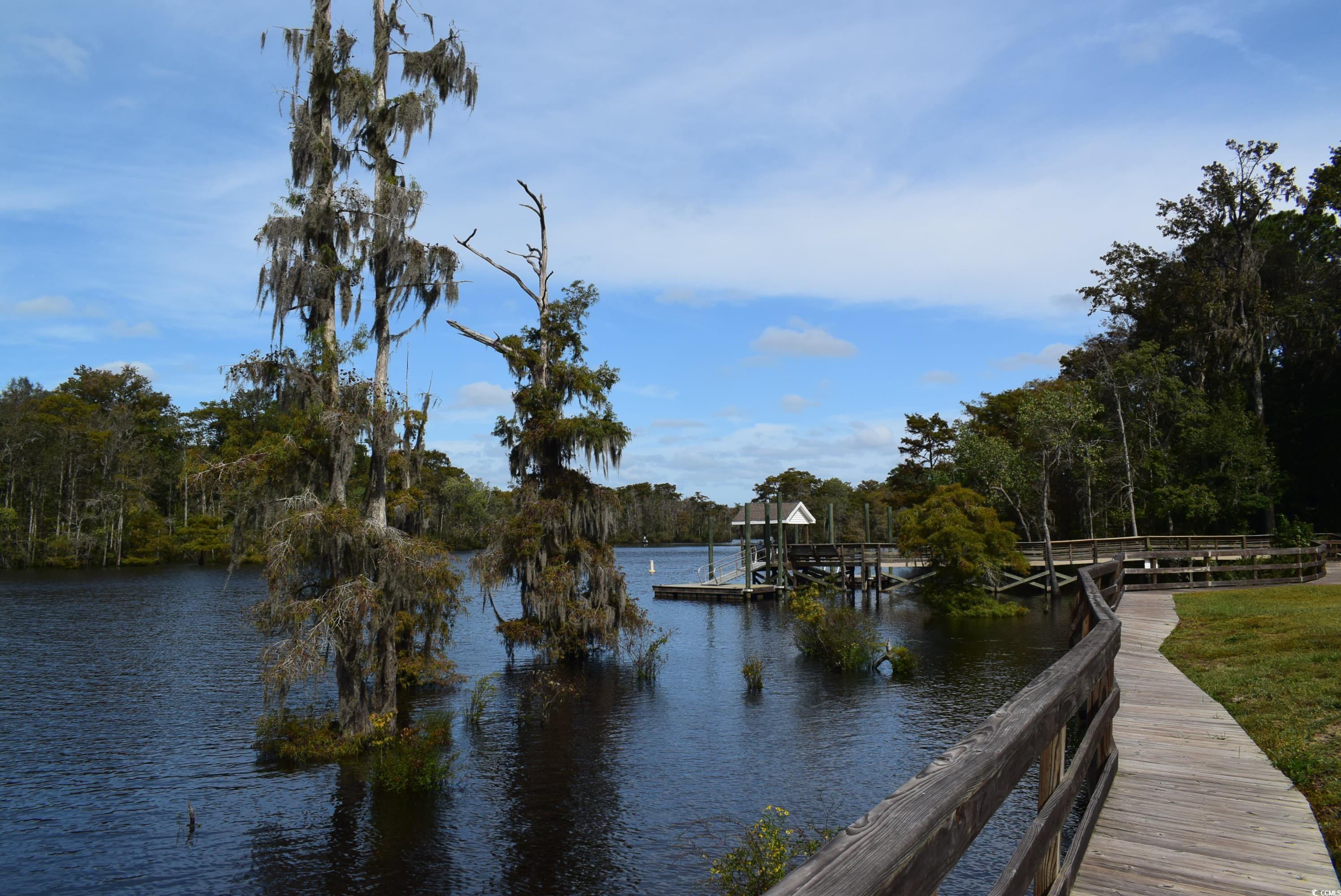 216 Rose Water Loop Myrtle Beach, SC 29588 - Photo 32 of 40 Water view featuring a dock and a forest
