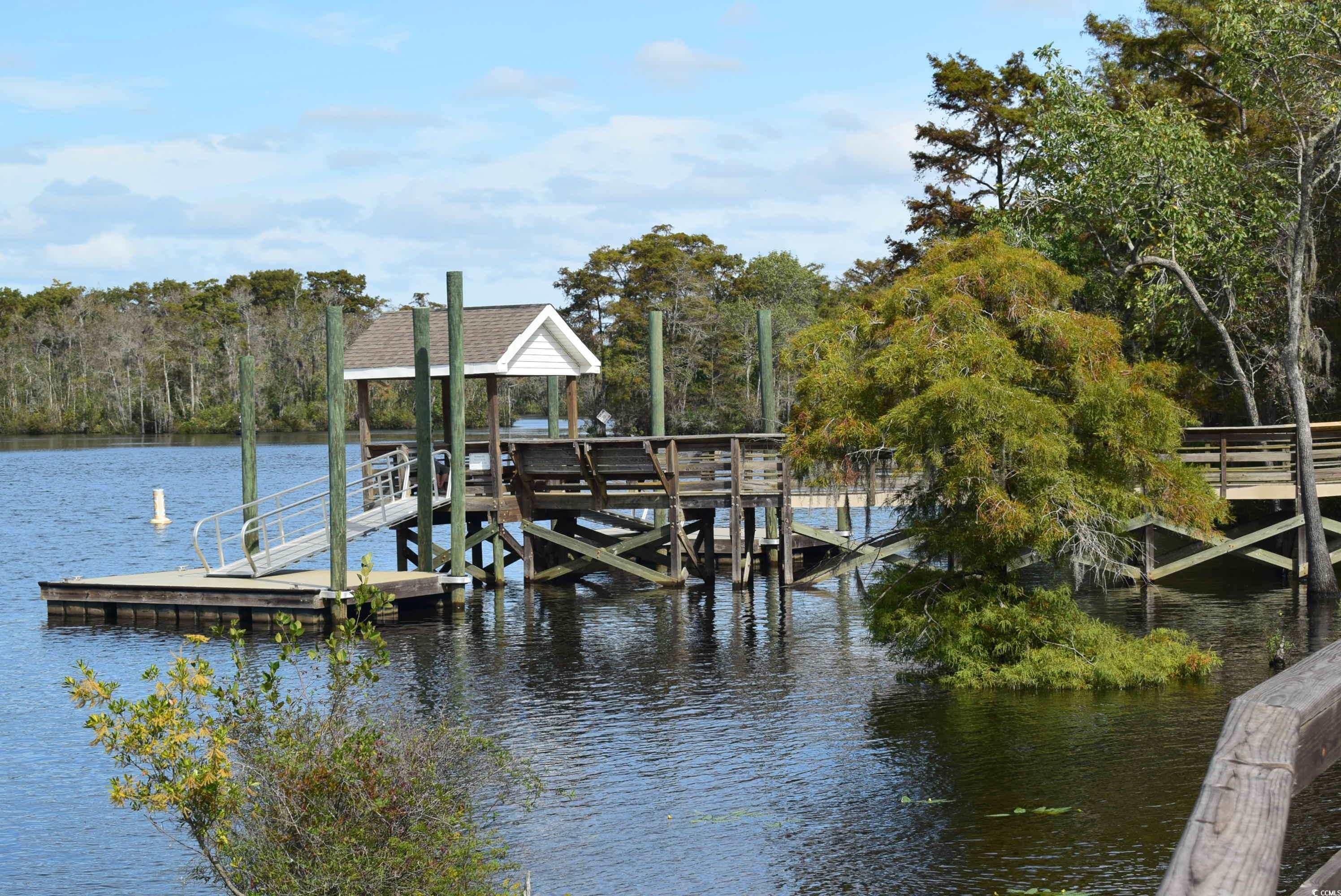 216 Rose Water Loop Myrtle Beach, SC 29588 - Photo 33 of 40 Dock area with a water view and a view of trees