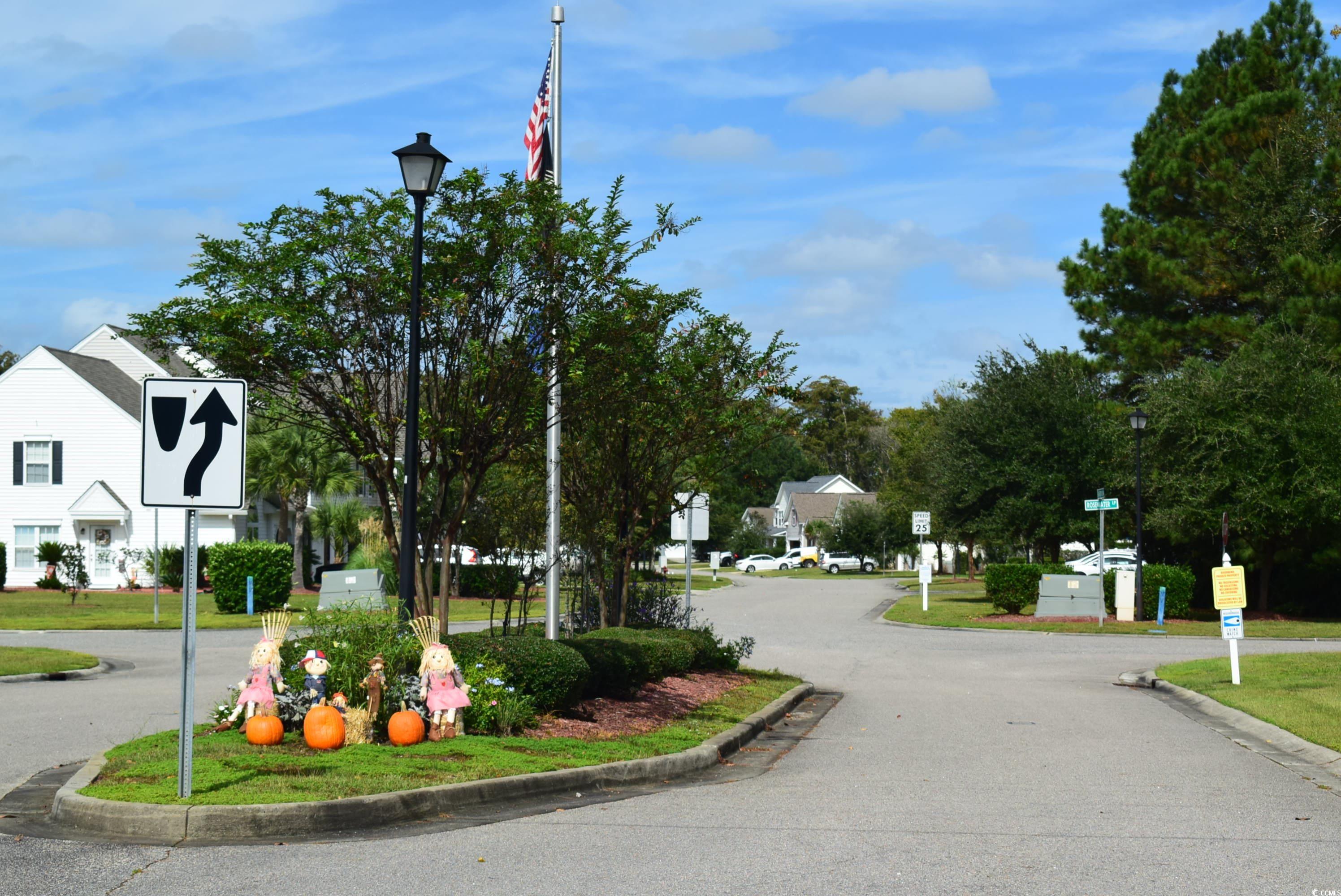 216 Rose Water Loop Myrtle Beach, SC 29588 - Photo 39 of 40 View of asphalt road featuring curbs, street lighting, traffic signs, and a residential view