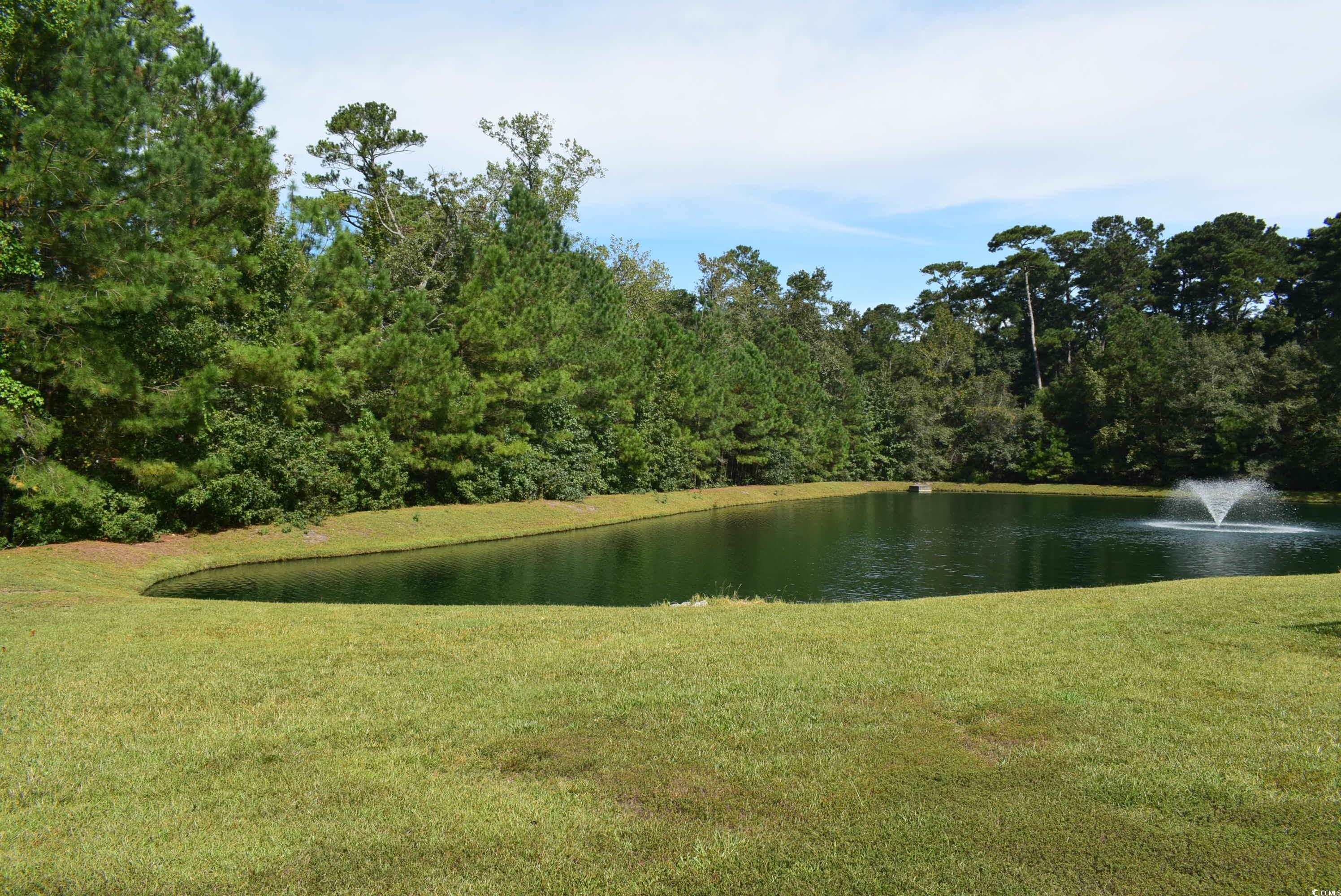 216 Rose Water Loop Myrtle Beach, SC 29588 - Photo 5 of 40 Water view
