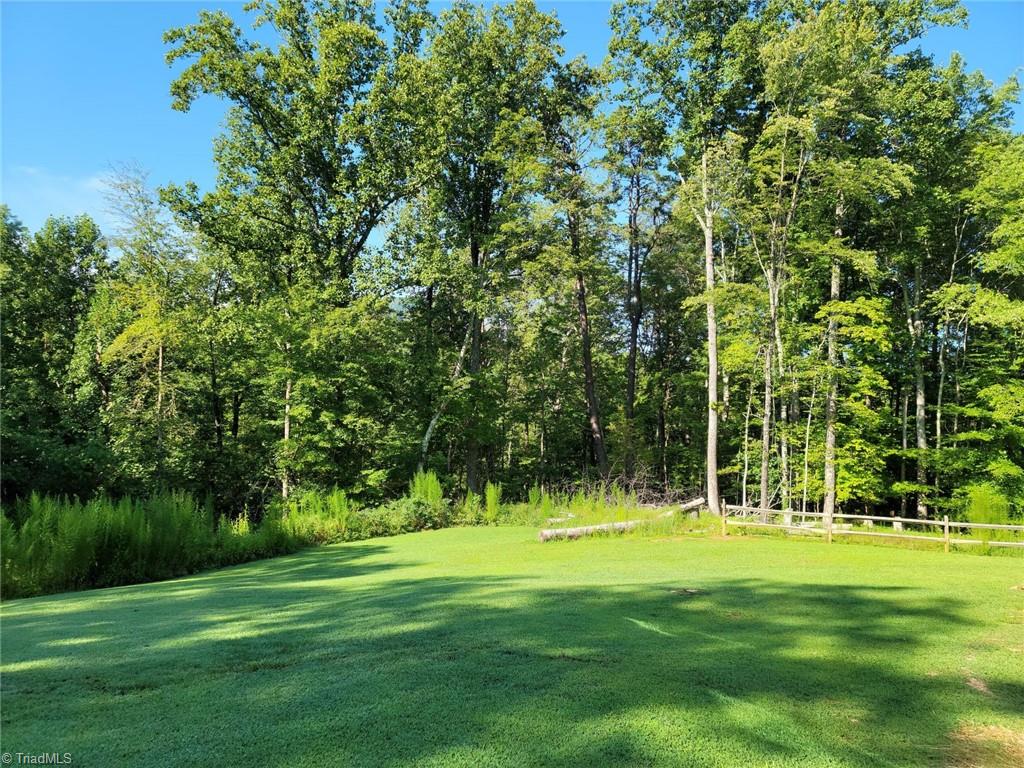 3542 Moores Spring Road Westfield, NC 27053 - Photo 33 of 39 Gallery Image 33