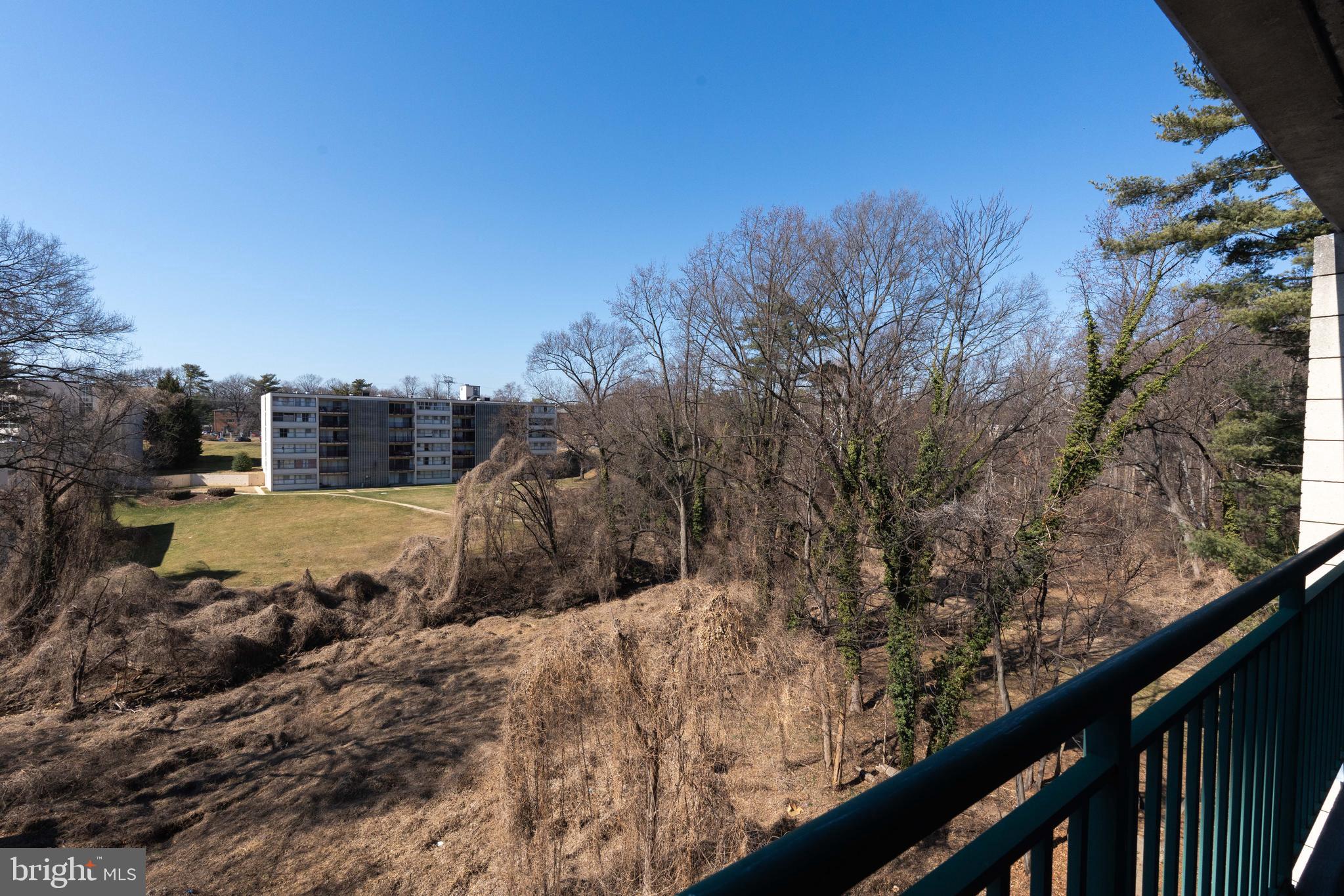 1804 Metzerott Road, Unit 504 Silver Spring, MD 20903 - Photo 20 of 24 a view of a yard with a tree