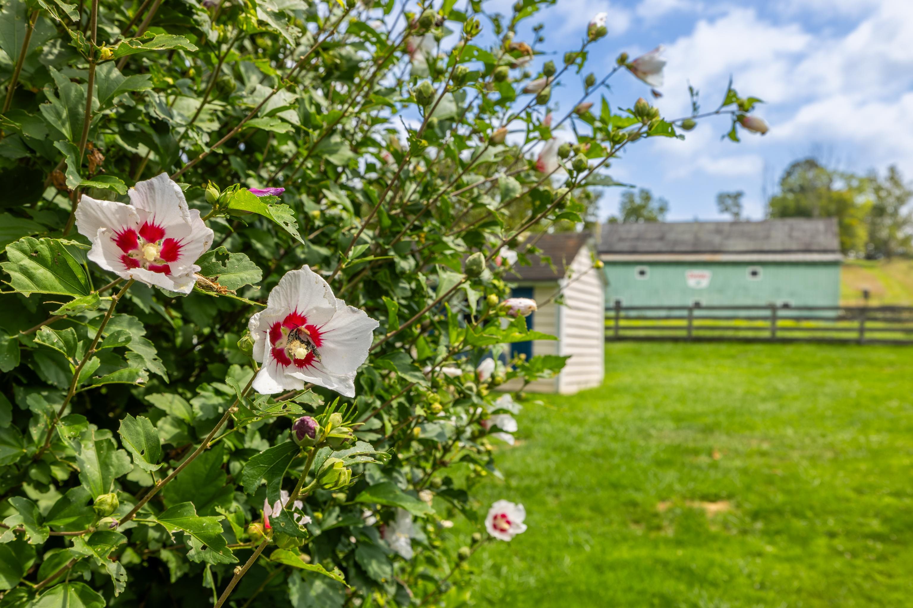 1202 Walkers Creek Road Middlebrook, VA 24459 - Photo 56 of 74