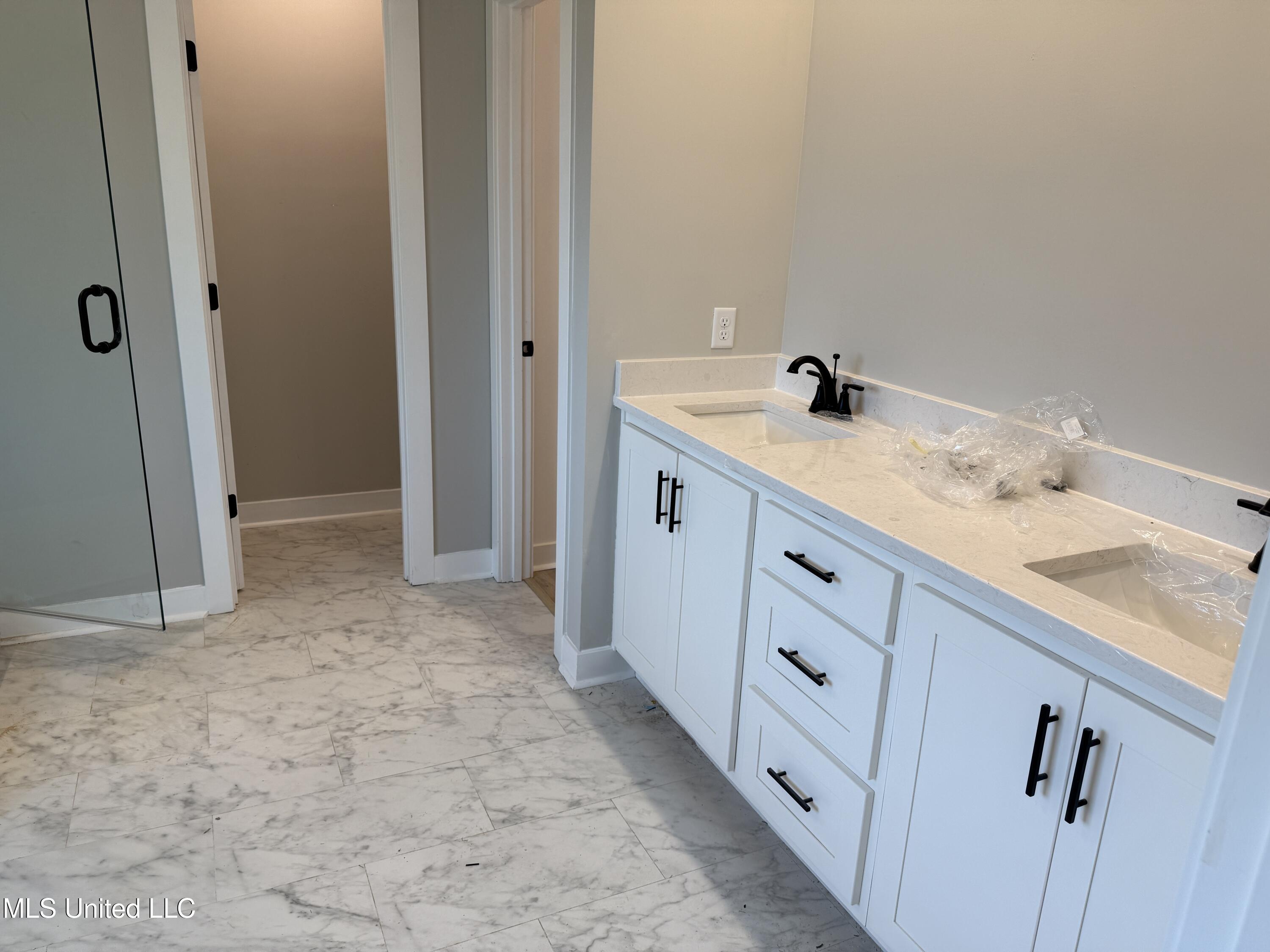 4644 Taylor Trail Hernando, MS 38632 - Photo 10 of 23 Primary Bathroom