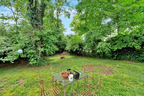 a green field with lots of bushes