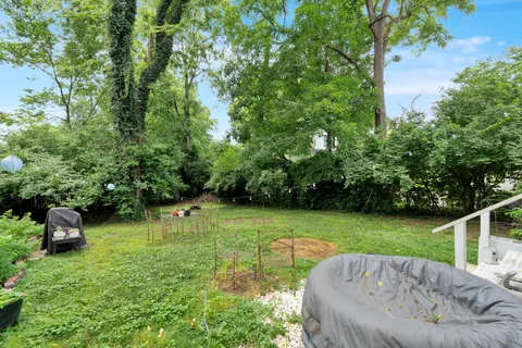 a view of a garden with a slide