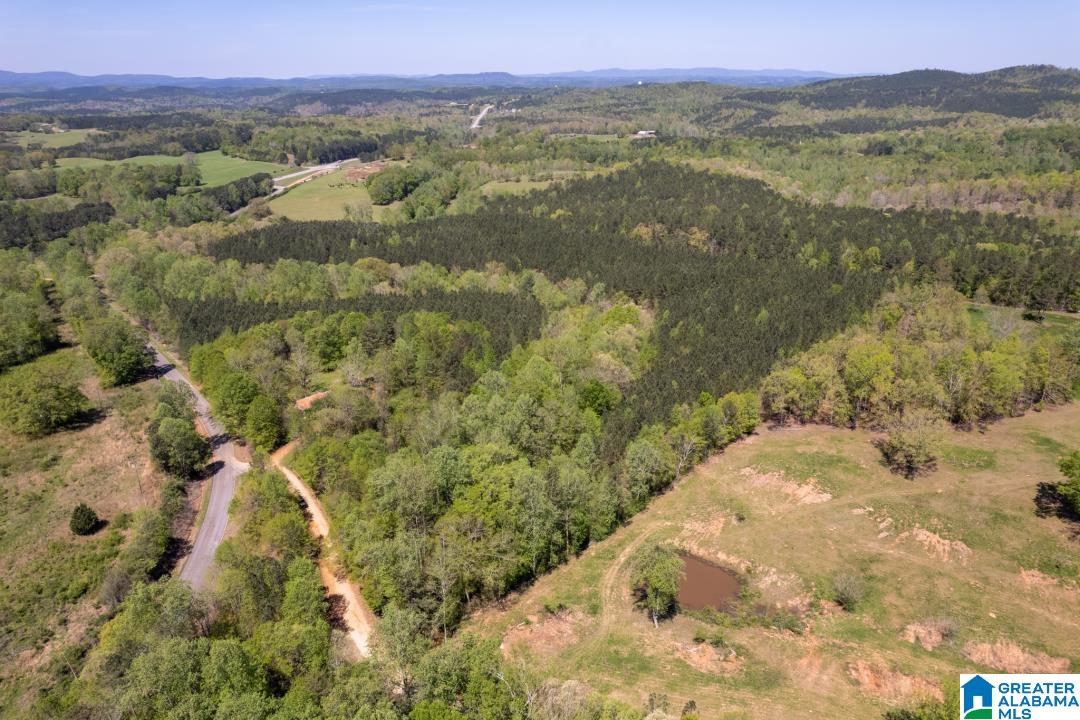 0 Highway 431, Unit 1 Wedowee, AL 36278 - Photo 5 of 10
