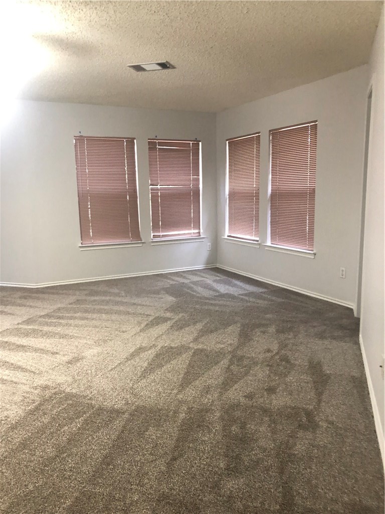 1304 Devil Ridge Cedar Park, TX 78613 - Photo 11 of 19