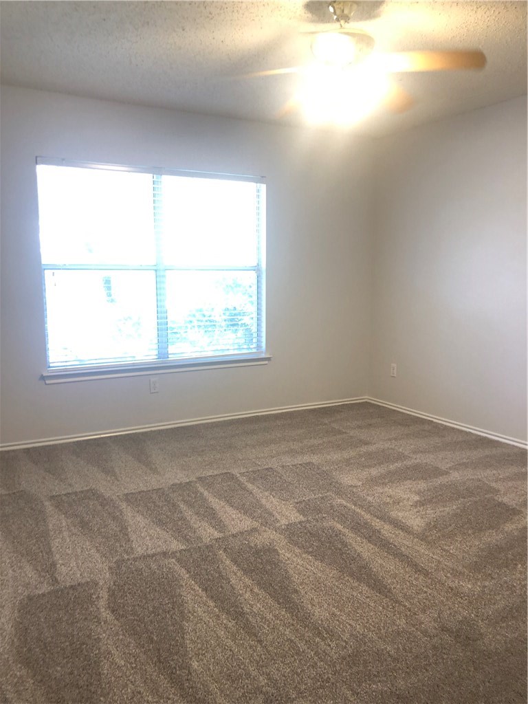 1304 Devil Ridge Cedar Park, TX 78613 - Photo 14 of 19