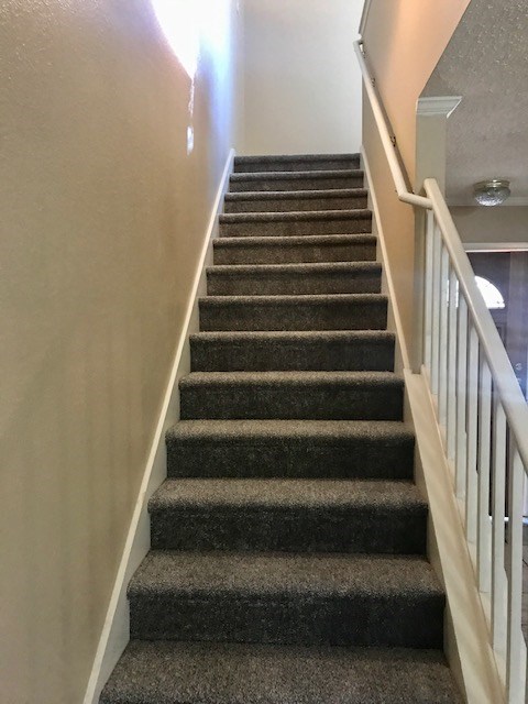 1304 Devil Ridge Cedar Park, TX 78613 - Photo 17 of 19