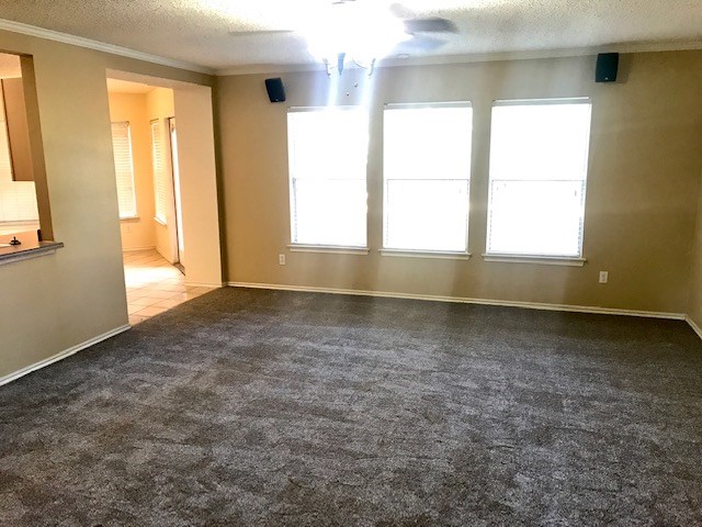 1304 Devil Ridge Cedar Park, TX 78613 - Photo 8 of 19