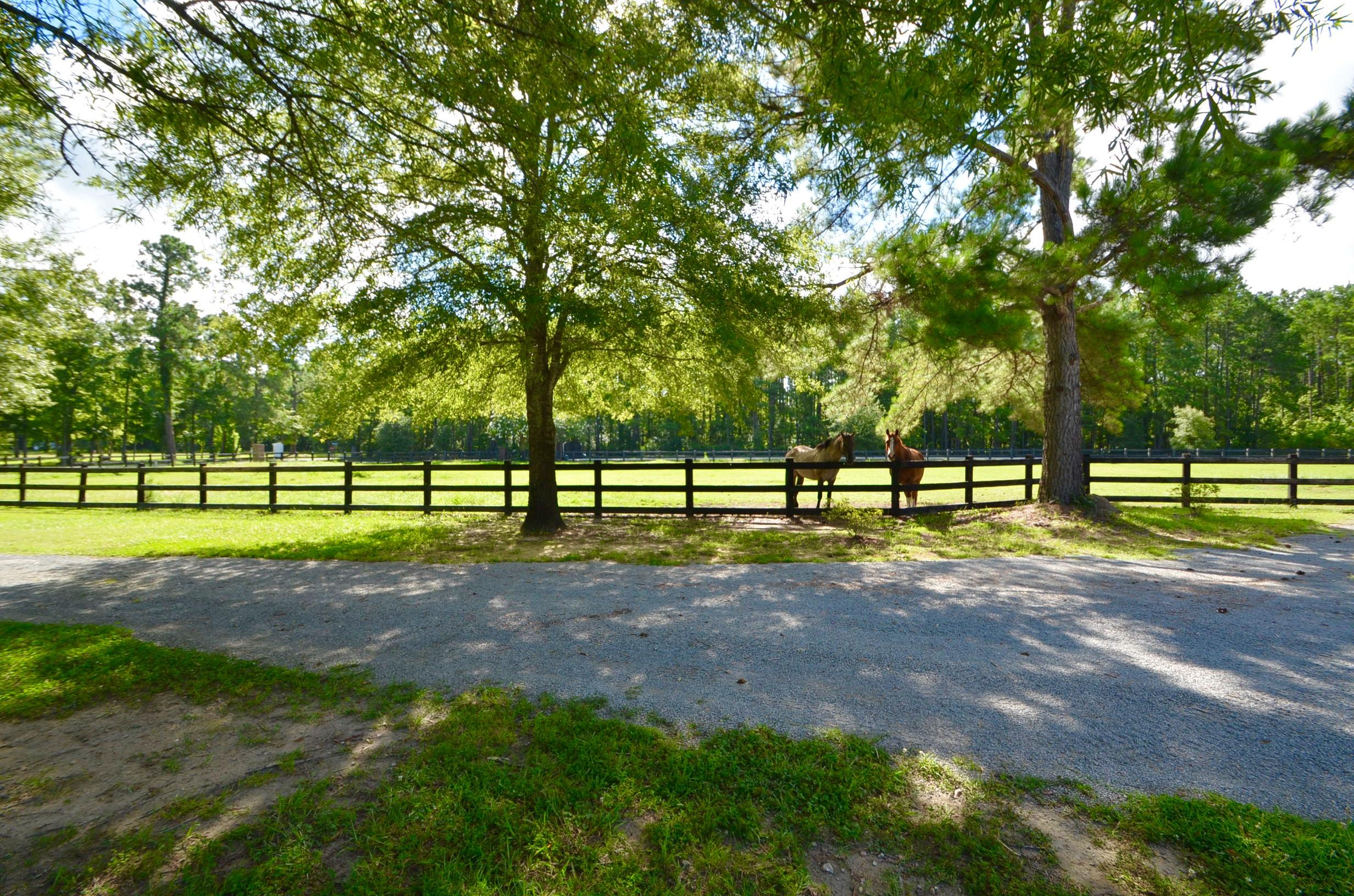 1217 Spring Grove Road Bonneau, SC 29431 - Photo 3 of 56 DSC_0128