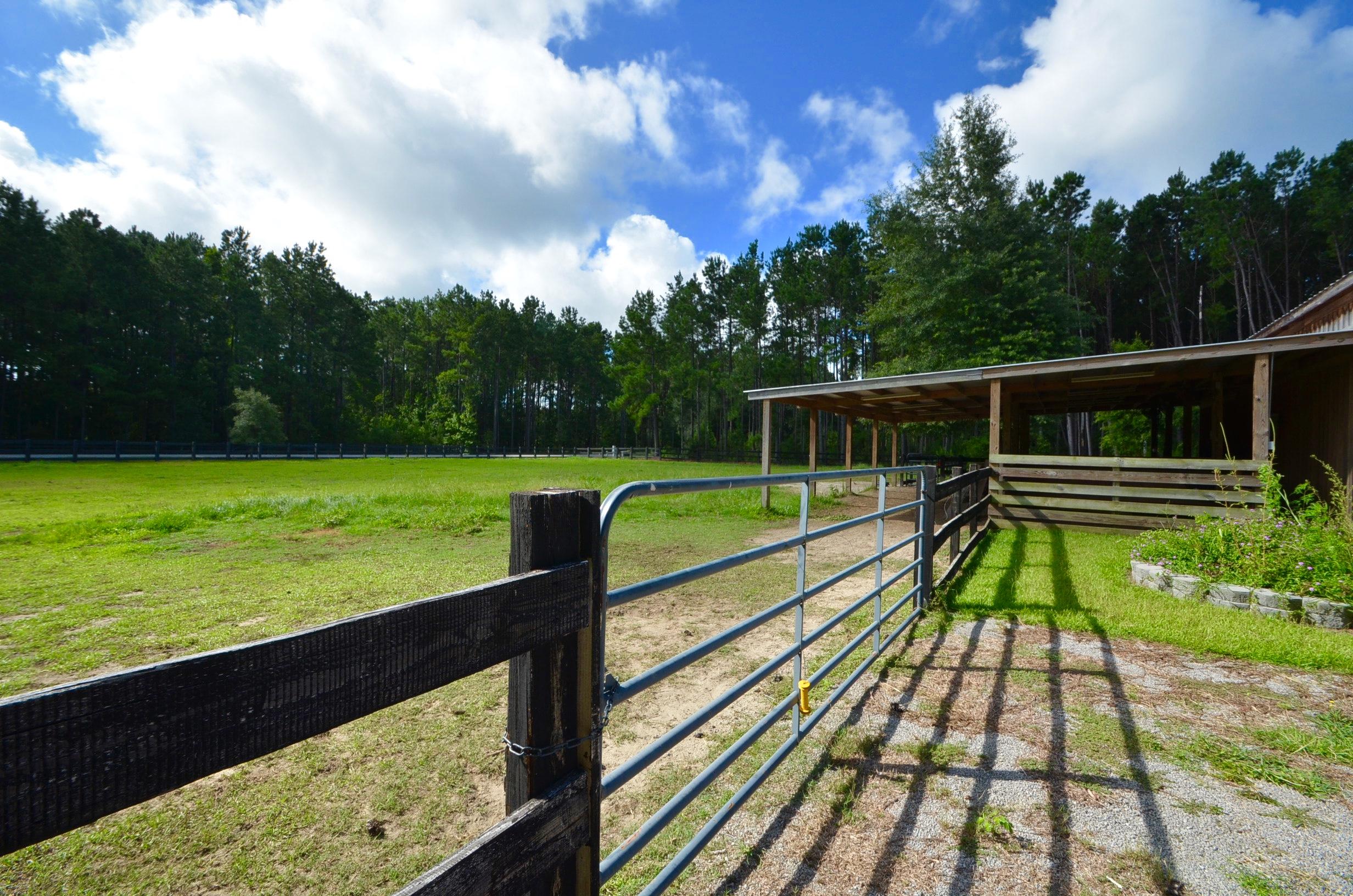 1217 Spring Grove Road Bonneau, SC 29431 - Photo 41 of 56 DSC_0130
