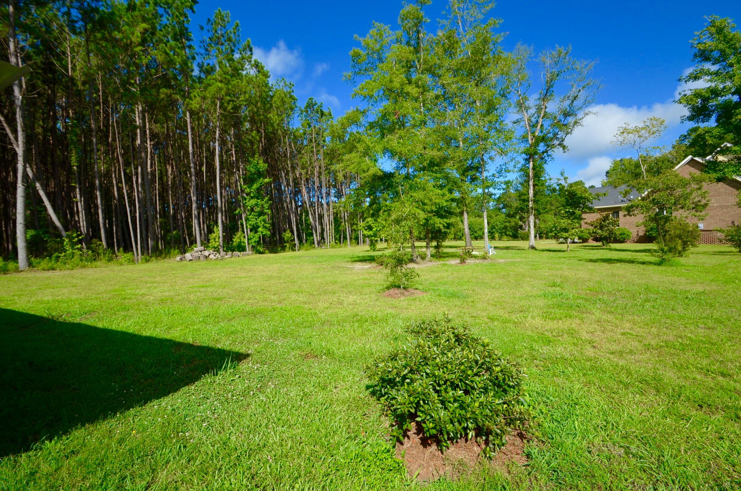 1217 Spring Grove Road Bonneau, SC 29431 - Photo 54 of 56 DSC_0148
