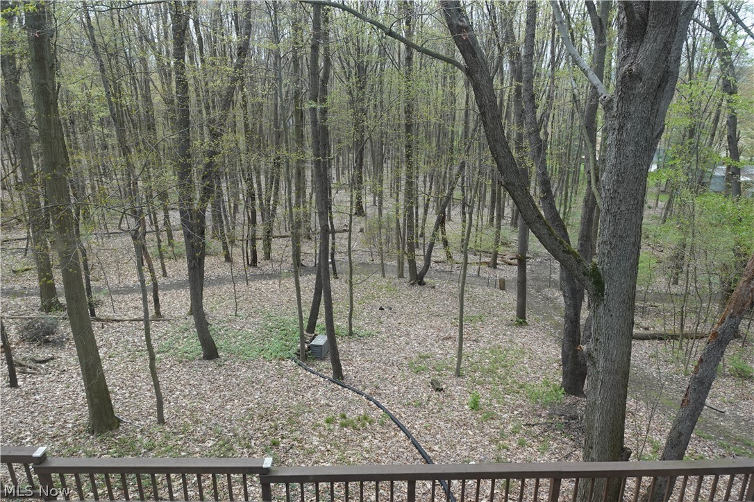 15488 Hatfield Road Rittman, OH 44270 - Photo 33 of 36 View of yard