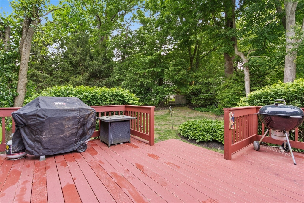 145 Meadowbrook Road Needham, MA 02492 - Photo 39 of 42