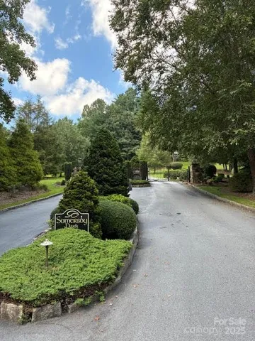 a view of a garden with a tree