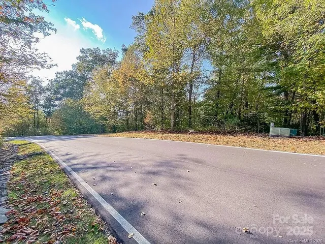 a view of a garden with plants and trees