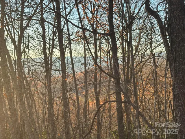 a garden view with a seating space
