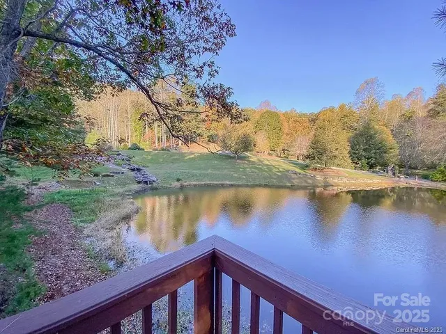a view of a yard with a tree in the background