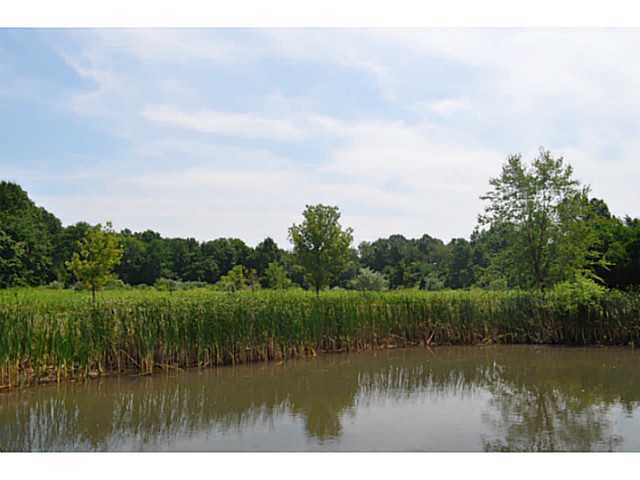 4693 Harlem Road Galena, OH 43021 - Photo 12 of 23 Gallery Image 12
