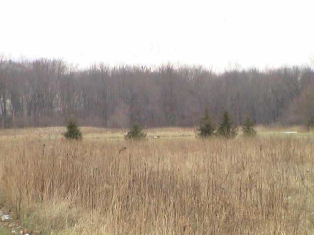 4693 Harlem Road Galena, OH 43021 - Photo 19 of 23 Gallery Image 19