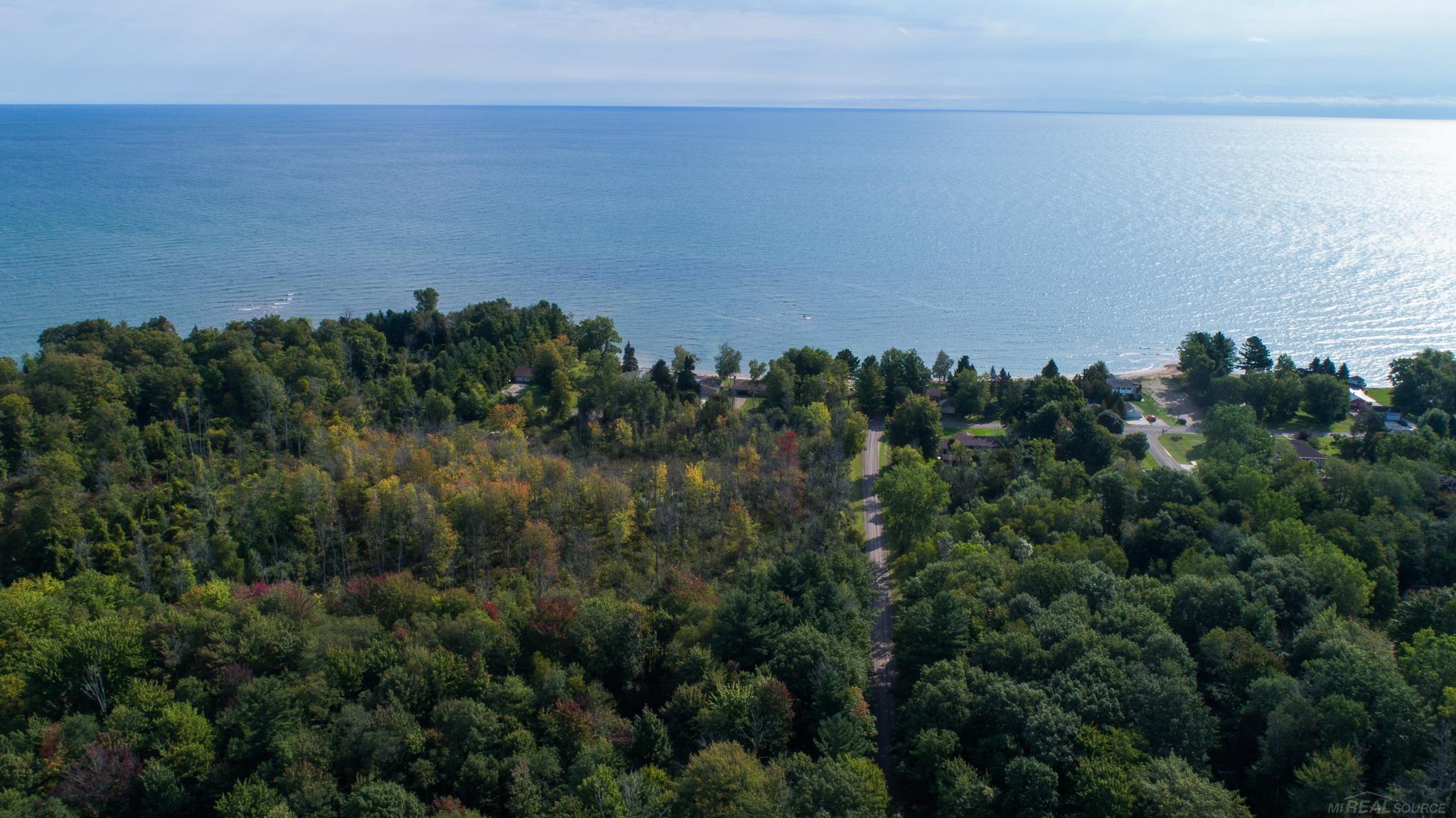 0 Schott Road Harbor Beach, MI 48441 - Photo 9 of 16