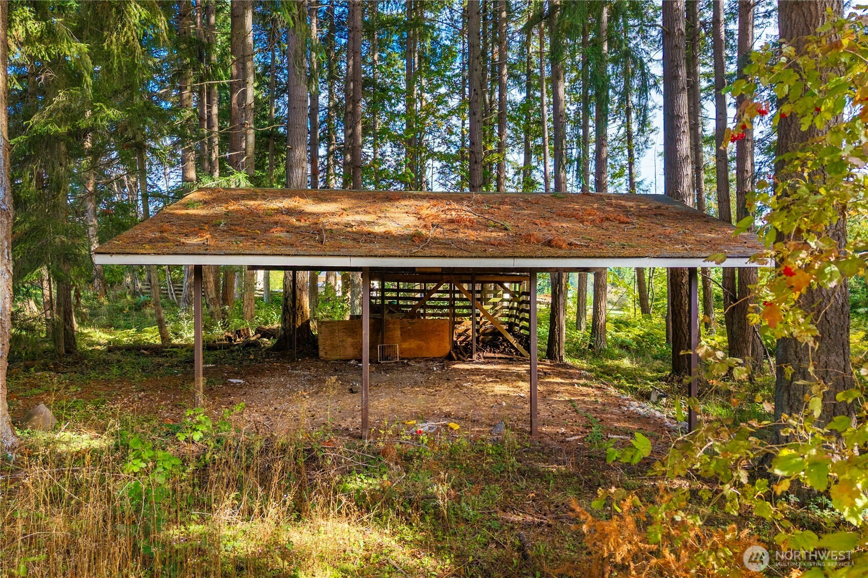 27601 Webster Road East Graham, WA 98338 - Photo 15 of 16 Gallery Image 15